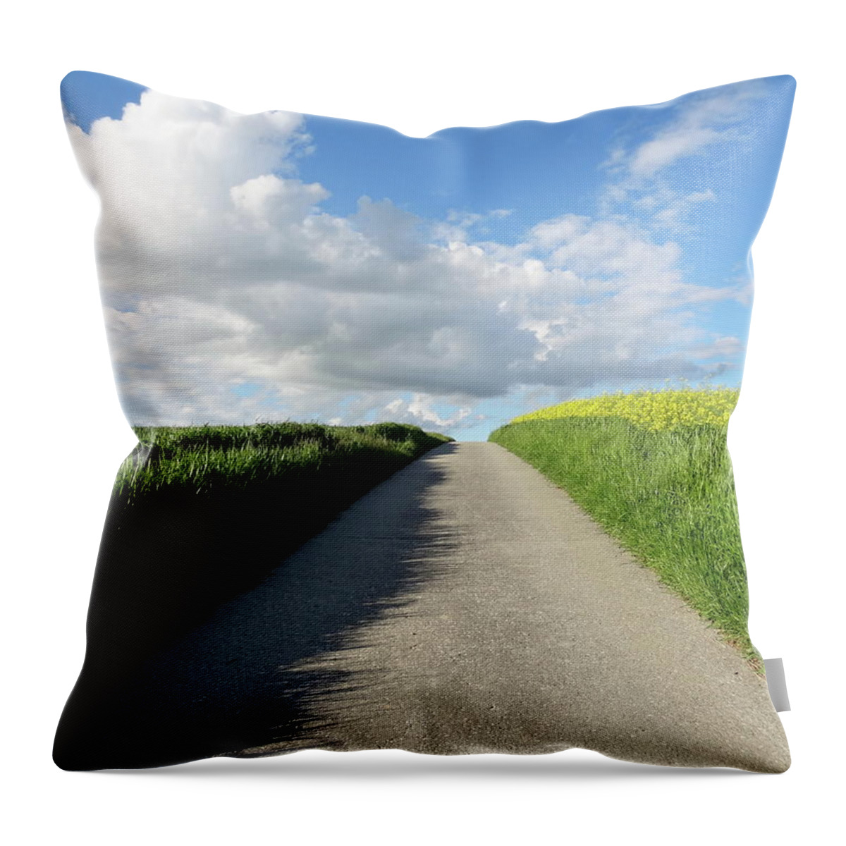 Path Throw Pillow featuring the mixed media on the way from Switzerland by Joelle Philibert