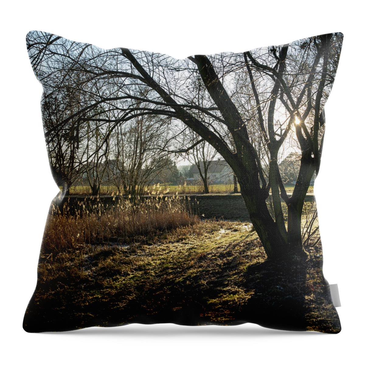 Tree Throw Pillow featuring the photograph On the way through the sleeping nature 2 by Adriana Mueller