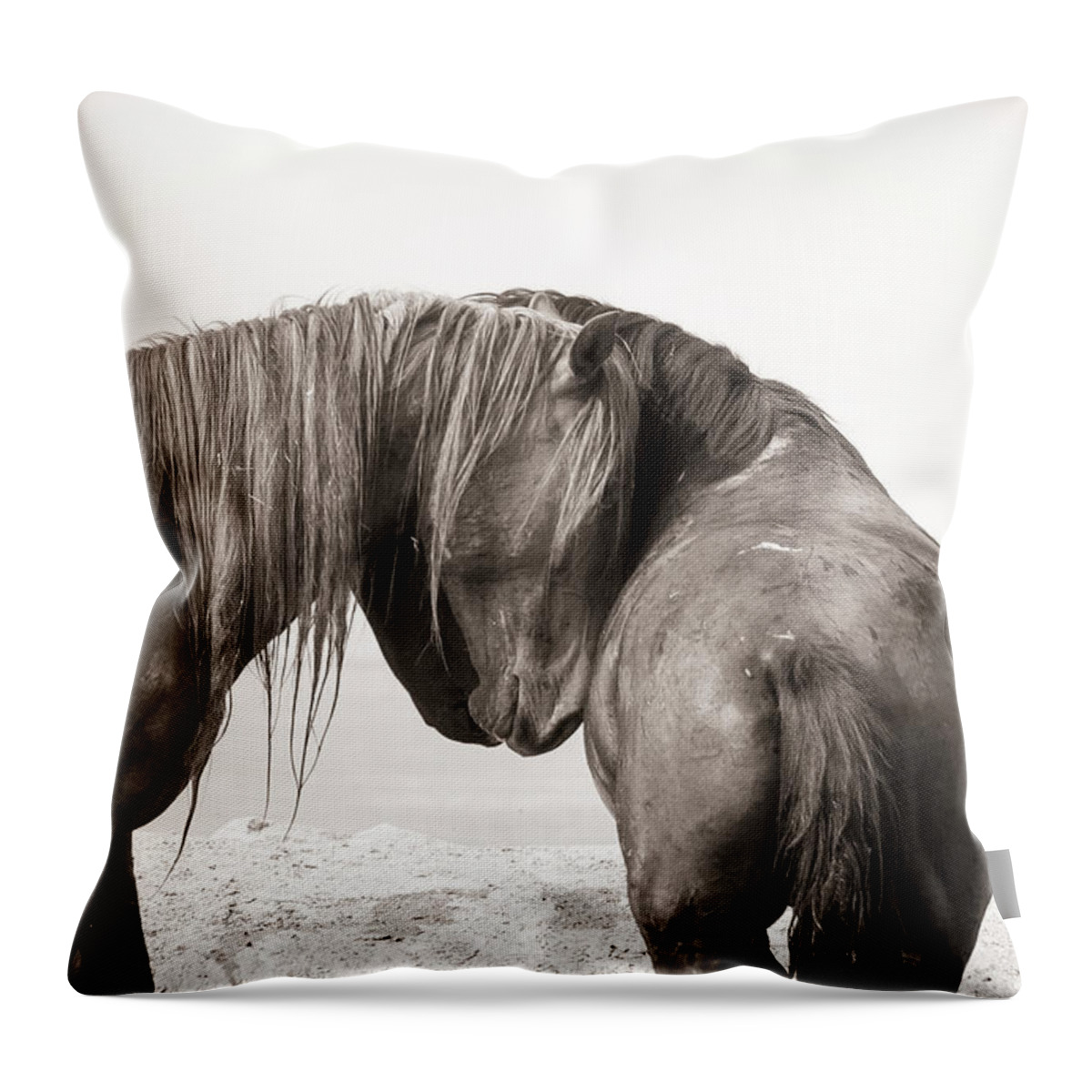 Wild Horses Throw Pillow featuring the photograph Onaqui Affection by Dirk Johnson