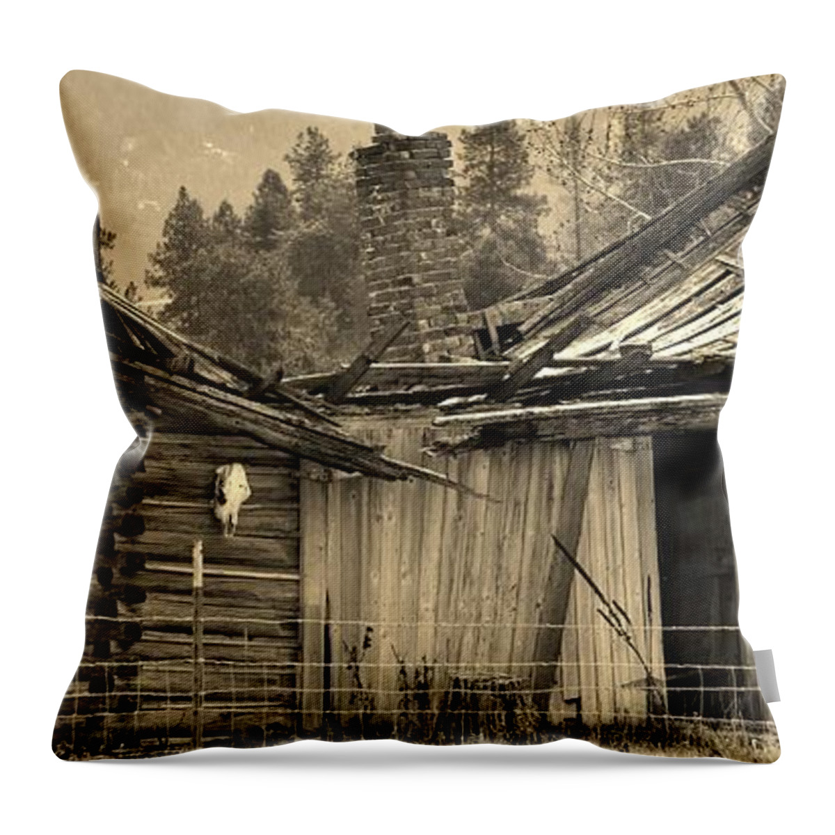 Homestead Throw Pillow featuring the photograph Once Loved by Jimmy Chuck Smith