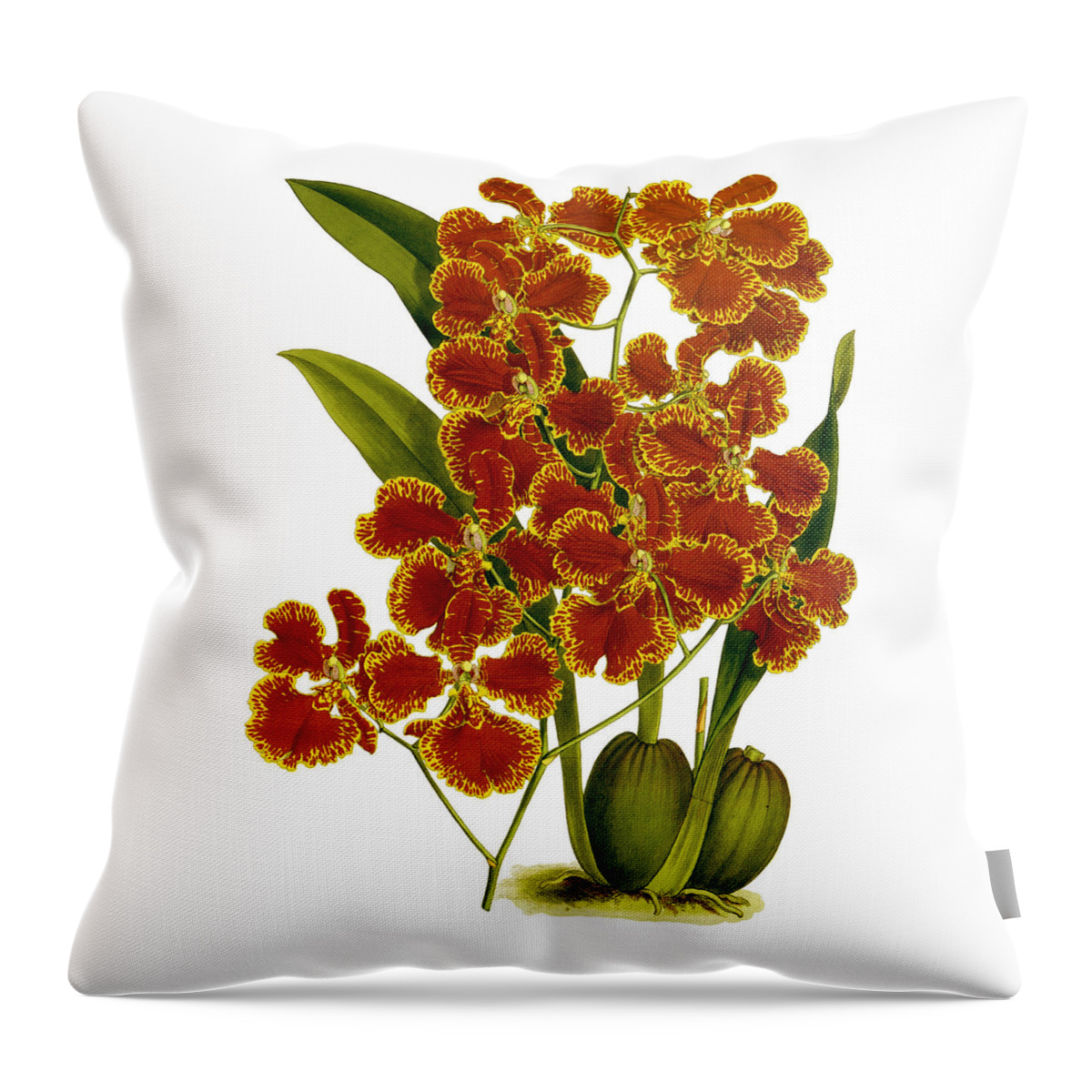 Oncidium Throw Pillow featuring the mixed media Oncidium Forbesii Orchid by World Art Collective