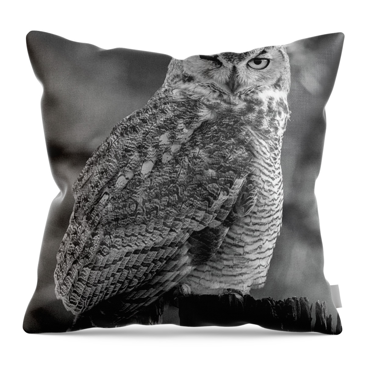 Great Horned Owl Throw Pillow featuring the photograph One Eyed Owl Black and White by Steve Templeton