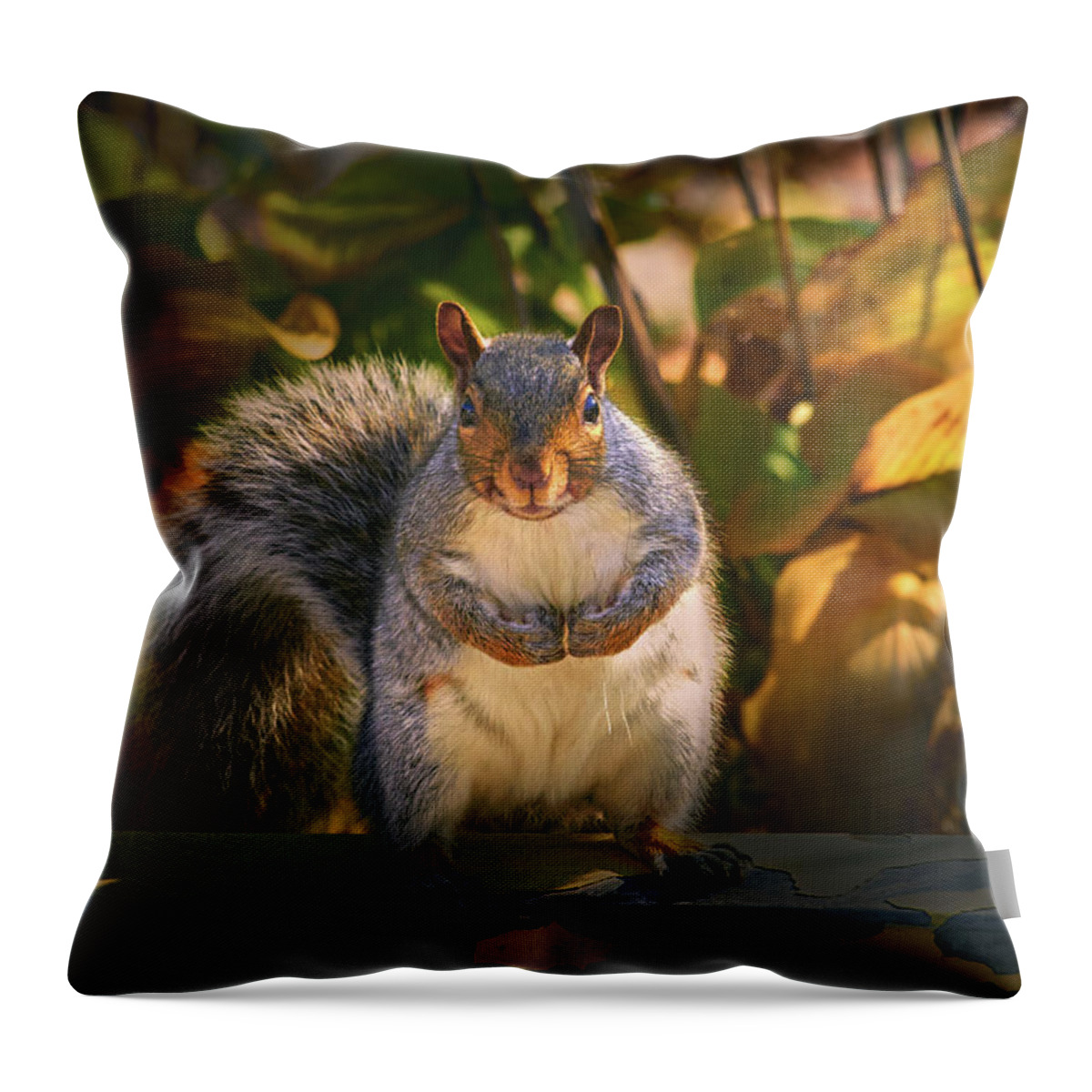 One Gray Squirrel Throw Pillow featuring the photograph One Gray Squirrel by Bob Orsillo