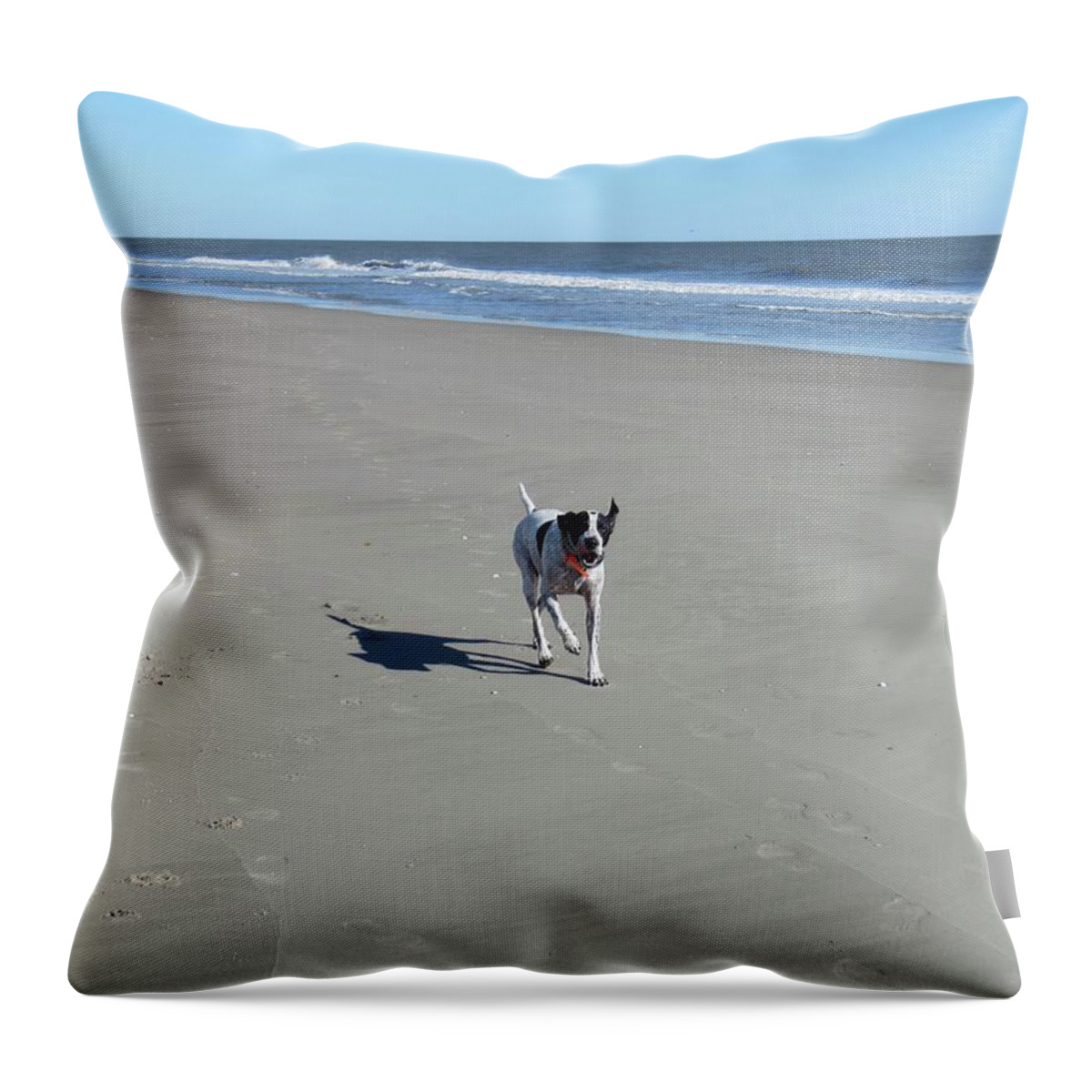 Dog Throw Pillow featuring the photograph One Happy Dog by Roberta Byram