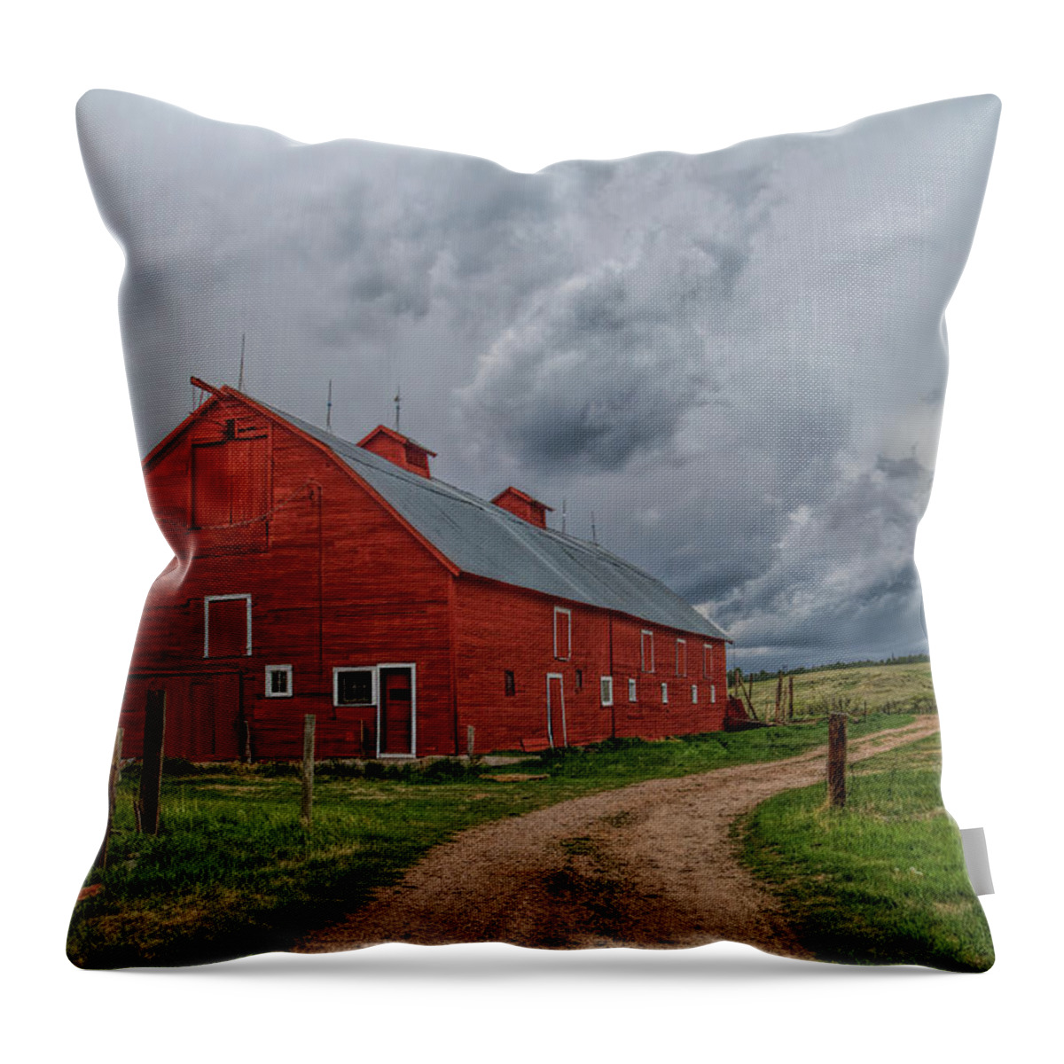 Barn Throw Pillow featuring the photograph One Last Look by Alana Thrower