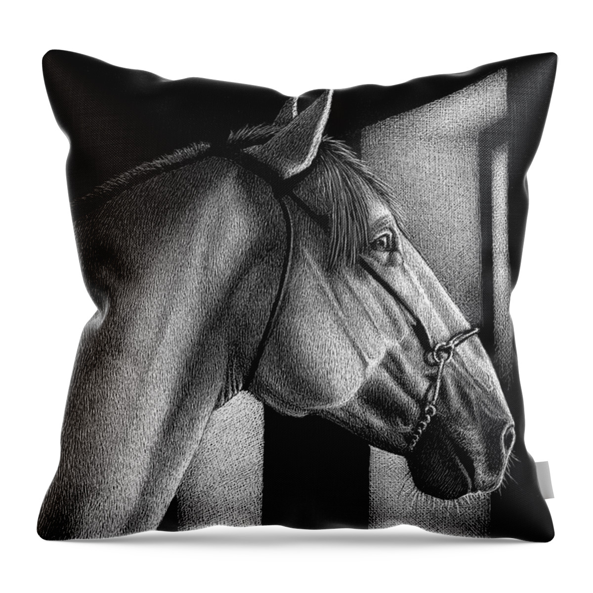 Equine Throw Pillow featuring the drawing One More Time by Sheryl Unwin