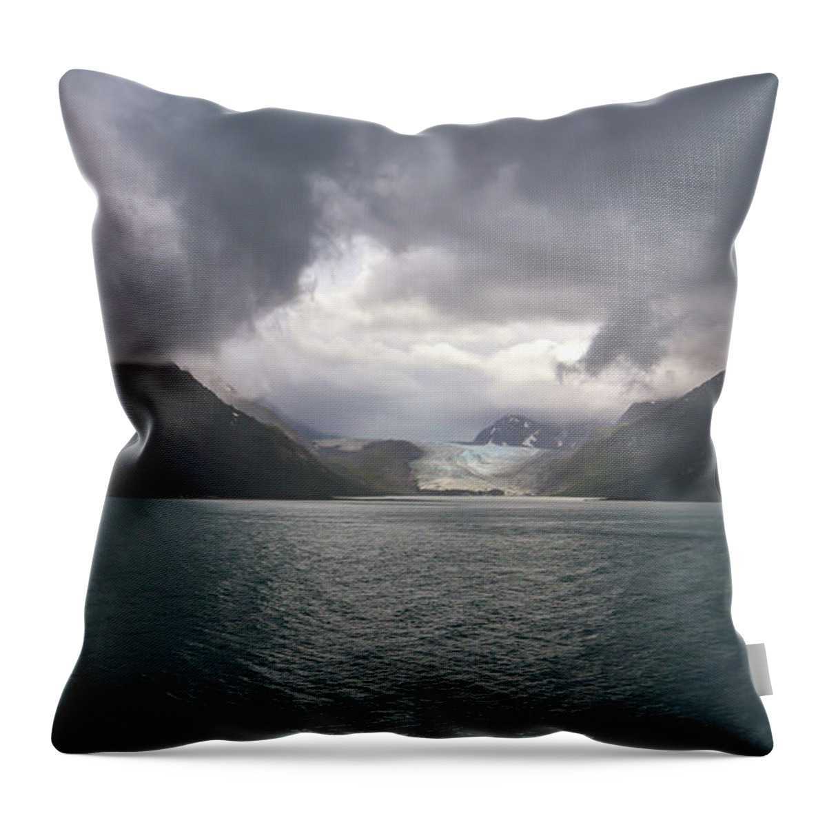 Glacier Bay National Park Throw Pillow featuring the photograph One Morning At Glacier Bay by Ed Williams