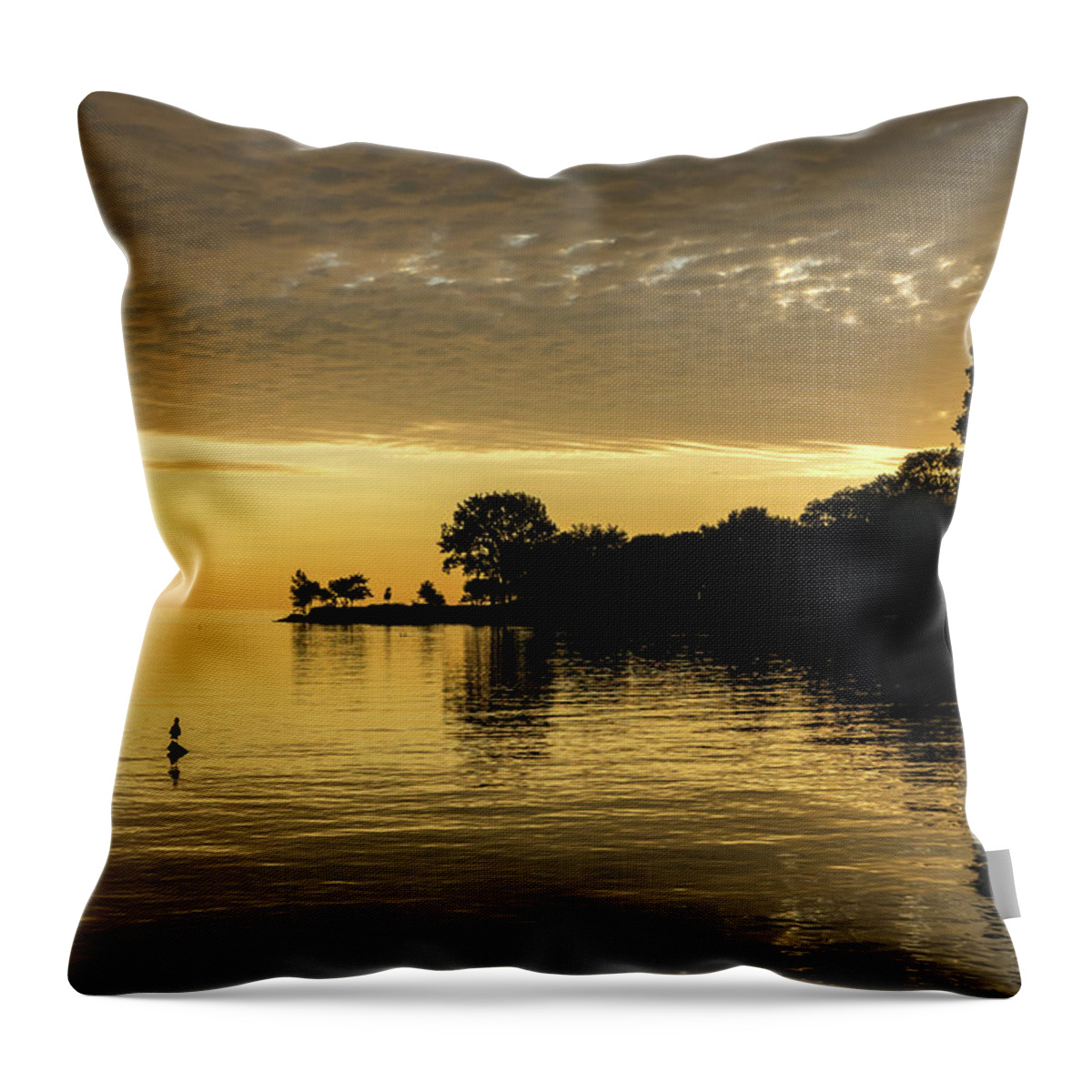 One Seagull Throw Pillow featuring the photograph One Seagull - Lake Ontario Sunrise in Lustrous Gold by Georgia Mizuleva