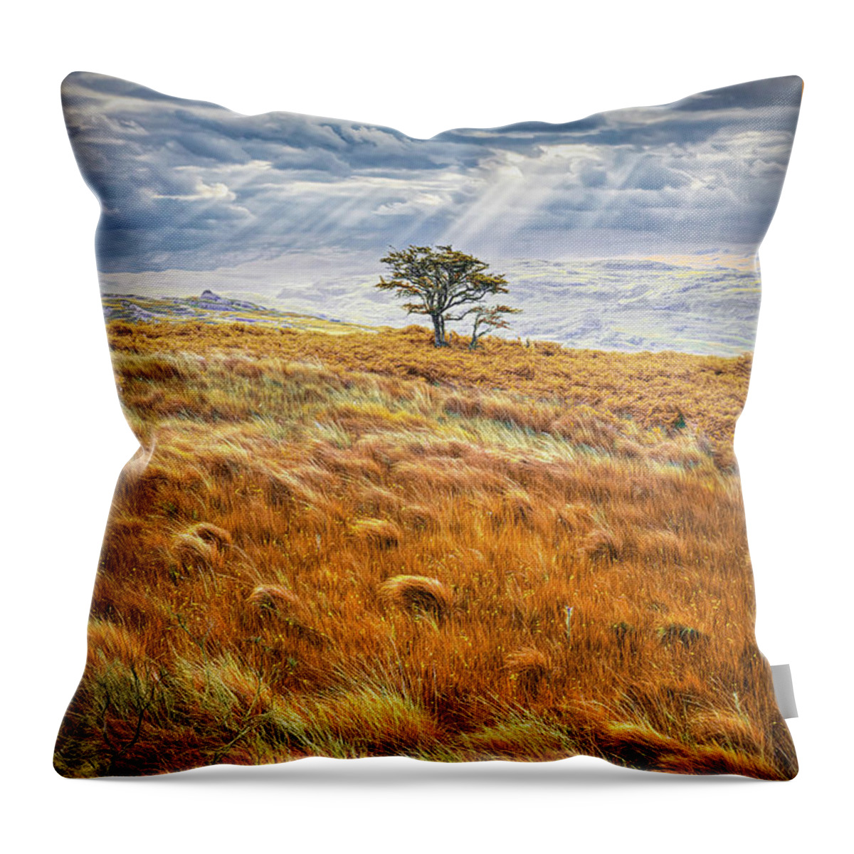 Clouds Throw Pillow featuring the photograph One Tree in the Autumn Irish Mist by Debra and Dave Vanderlaan