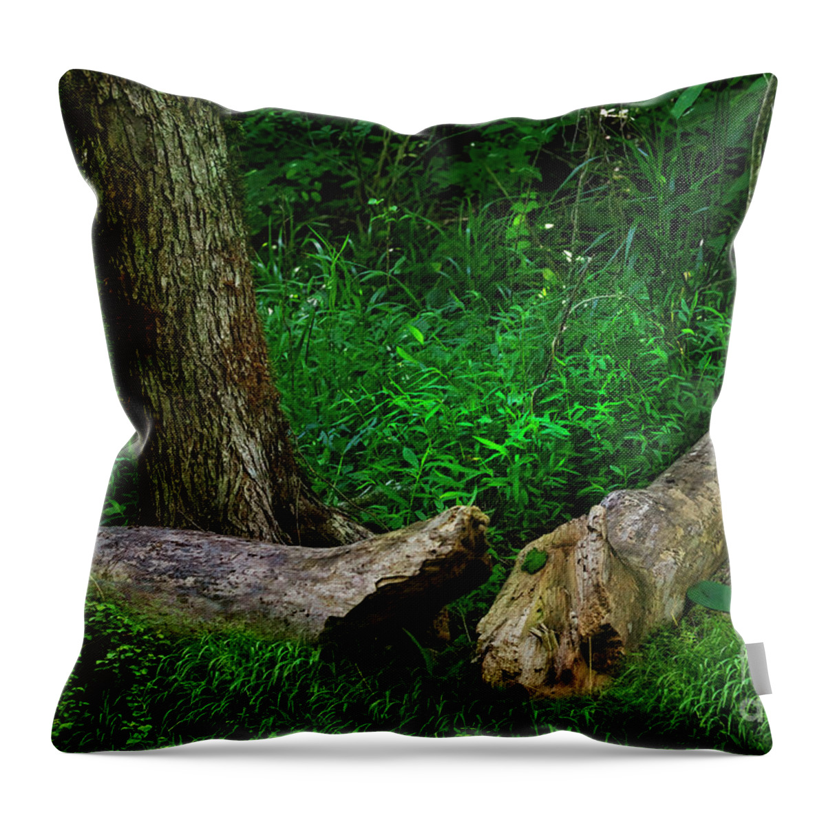 Log; Tree; Grass; Weed; Forest; Dense; Tennessee; Northeast Tennessee; Green Throw Pillow featuring the photograph Oneness in Nature by Shelia Hunt