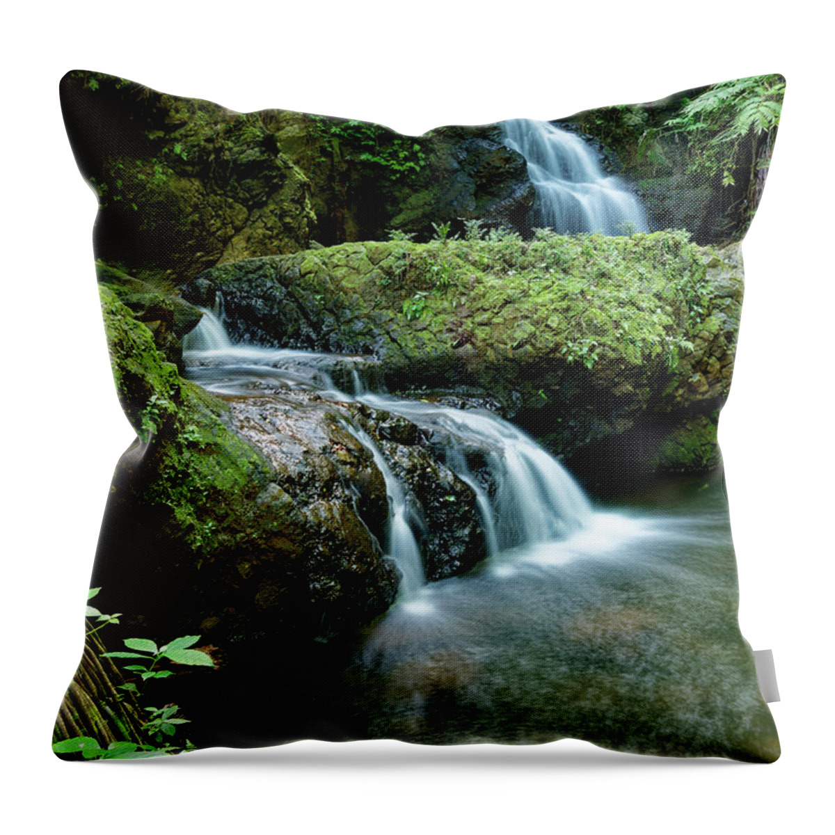 Beautiful Falls Throw Pillow featuring the photograph Onomea Falls by Heidi Fickinger