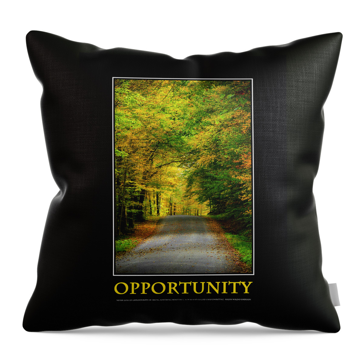 Inspirational Throw Pillow featuring the mixed media Opportunity Inspirational Motivational Poster Art by Christina Rollo