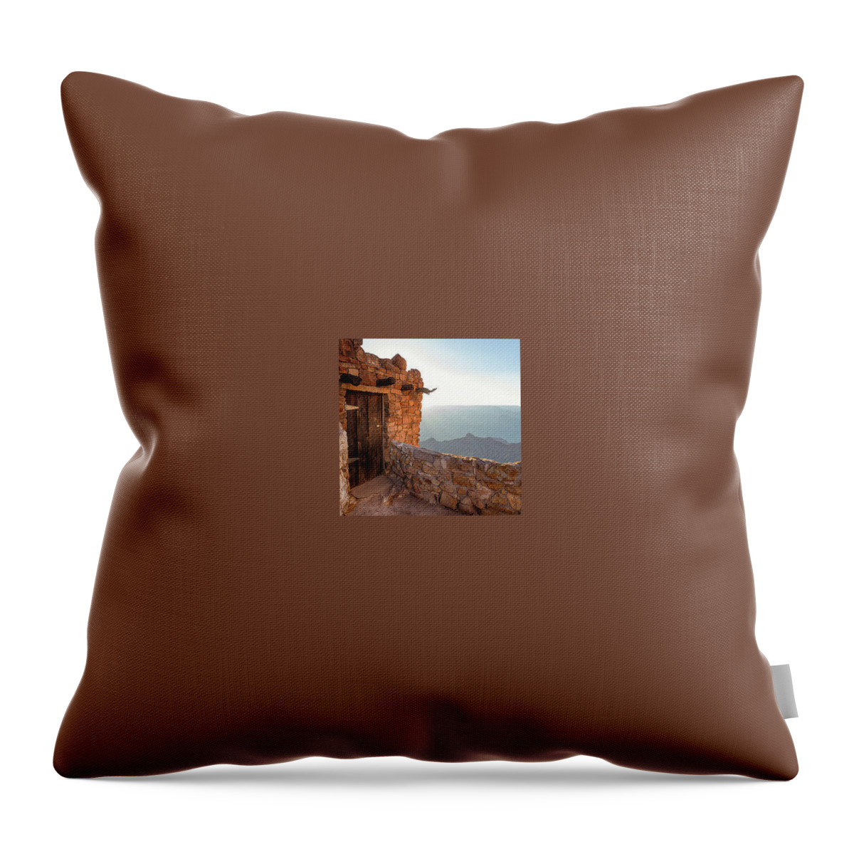  Throw Pillow featuring the photograph Optimized for Arizona Cover by Susan Rissi Tregoning