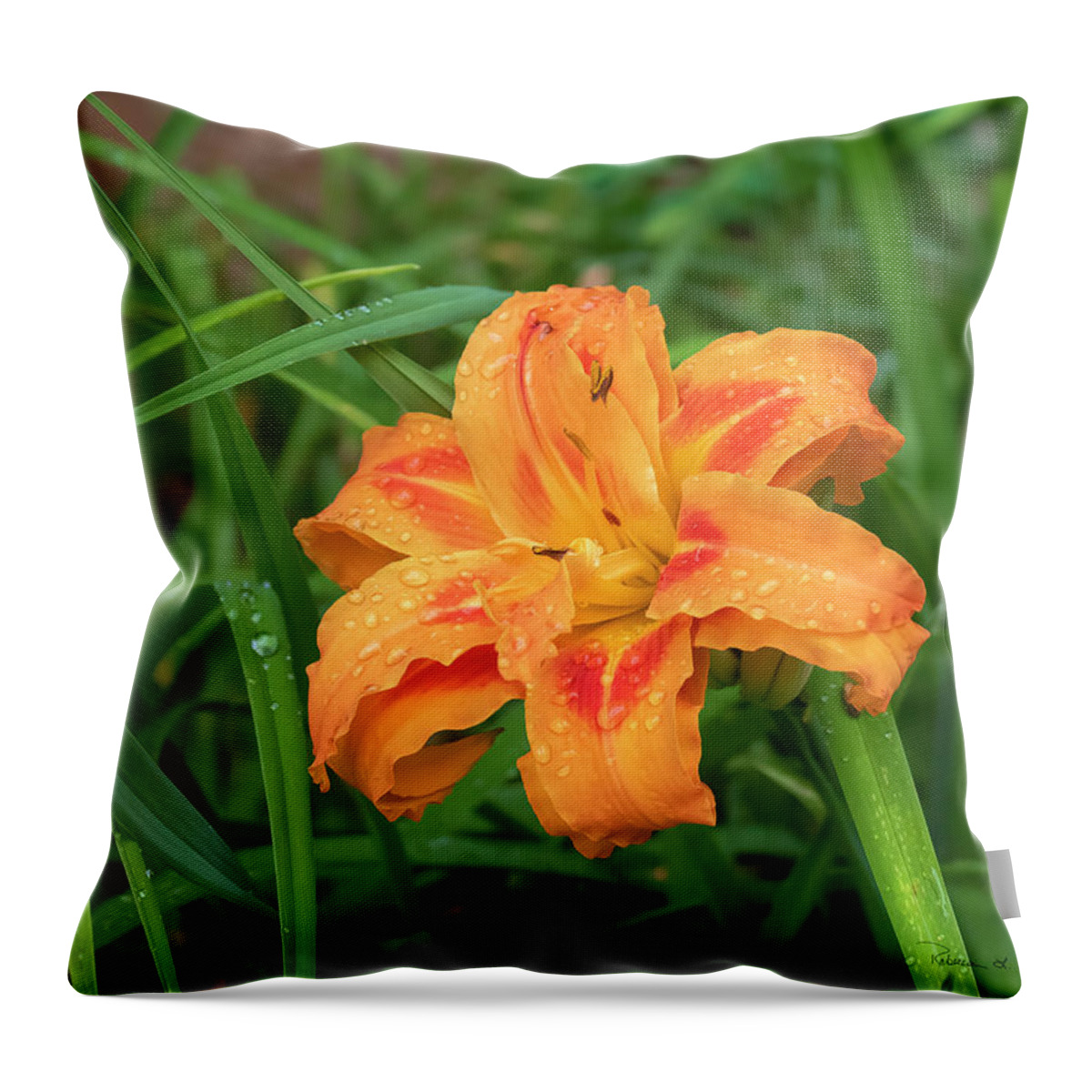 Orange And Red Daylily Throw Pillow featuring the photograph Orange And Red Daylily by Bellesouth Studio
