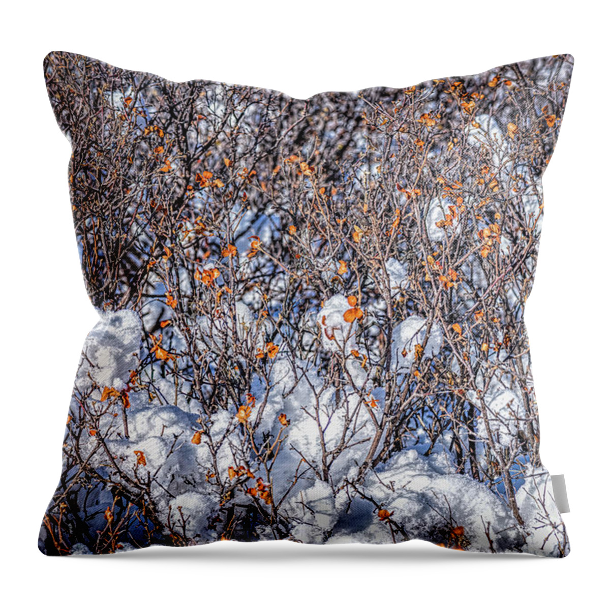 Jon Burch Throw Pillow featuring the photograph Orange Leaves In The Snow by Jon Burch Photography