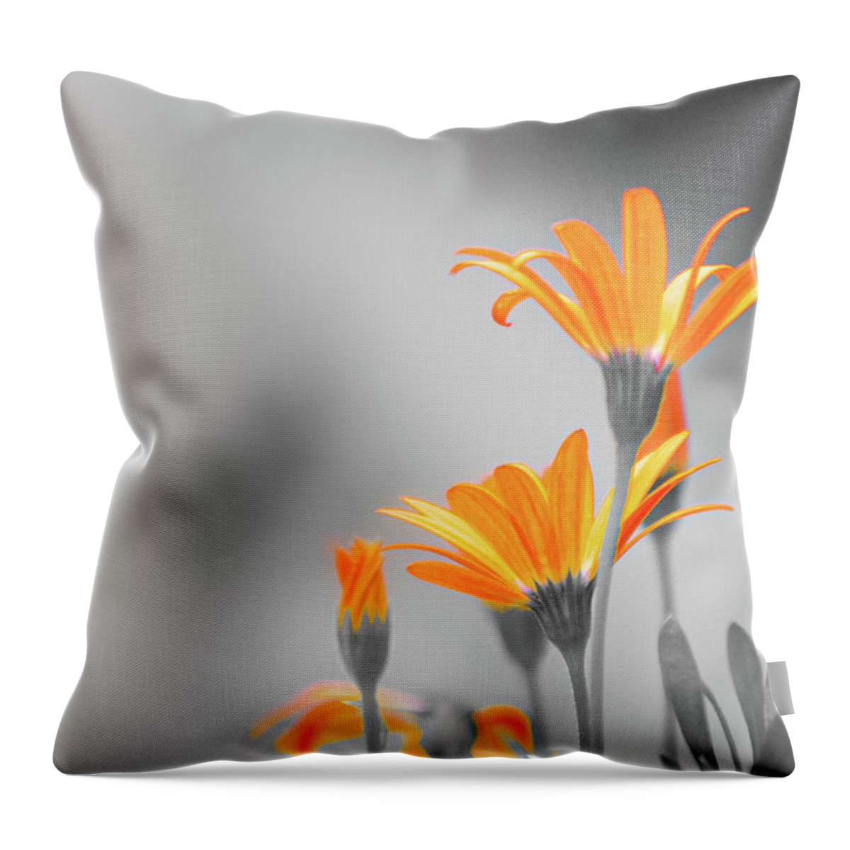 Flower Throw Pillow featuring the photograph Orange by Maureen Plitt