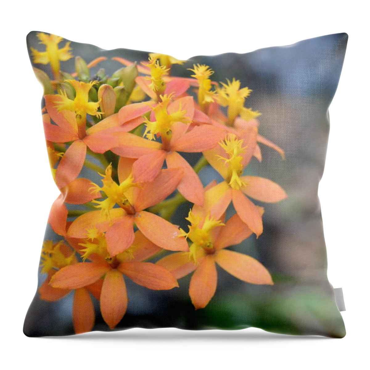 Kauai Throw Pillow featuring the photograph Orange Yellow Flowers by Amy Fose