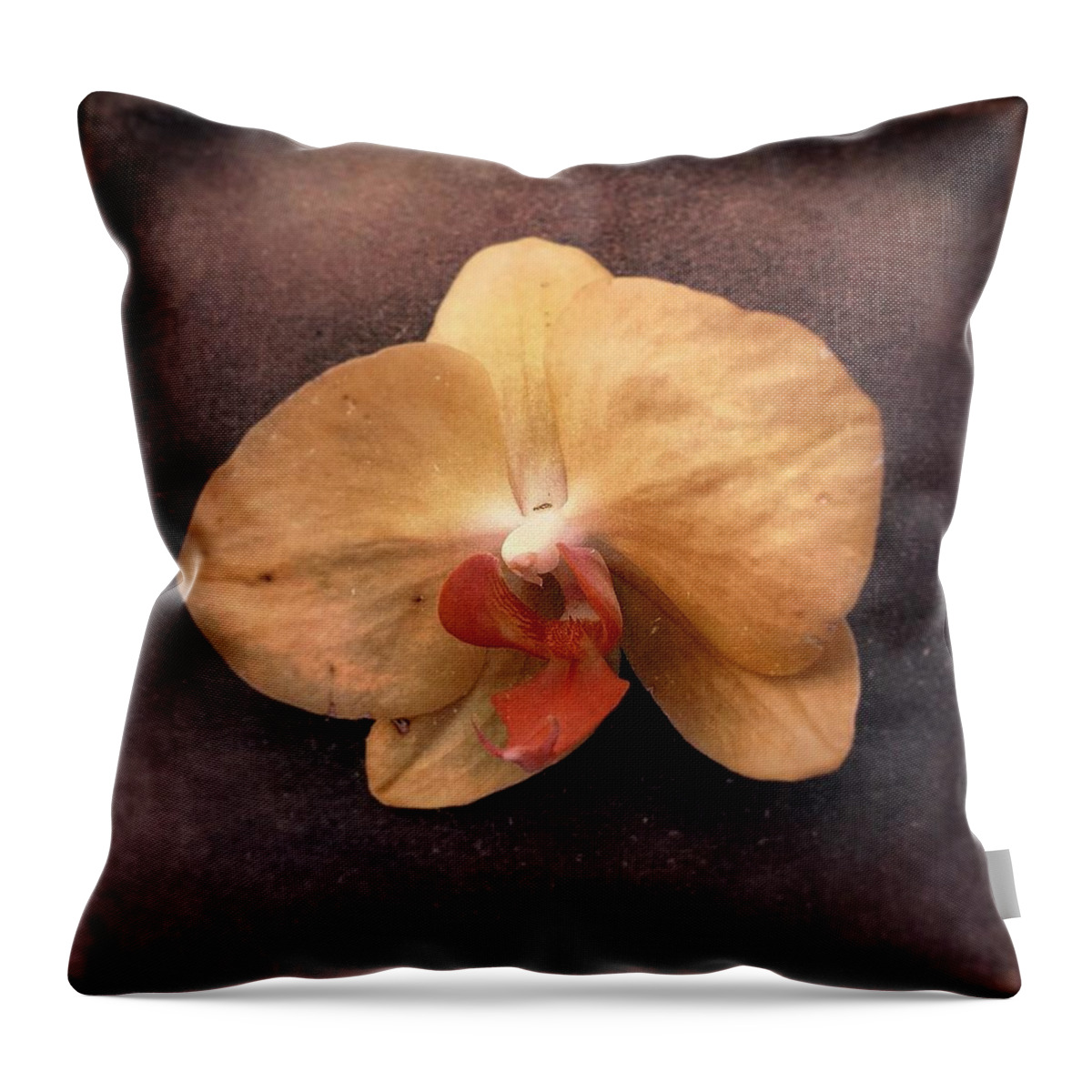 Spring Throw Pillow featuring the photograph Orchid by Jennifer Preston