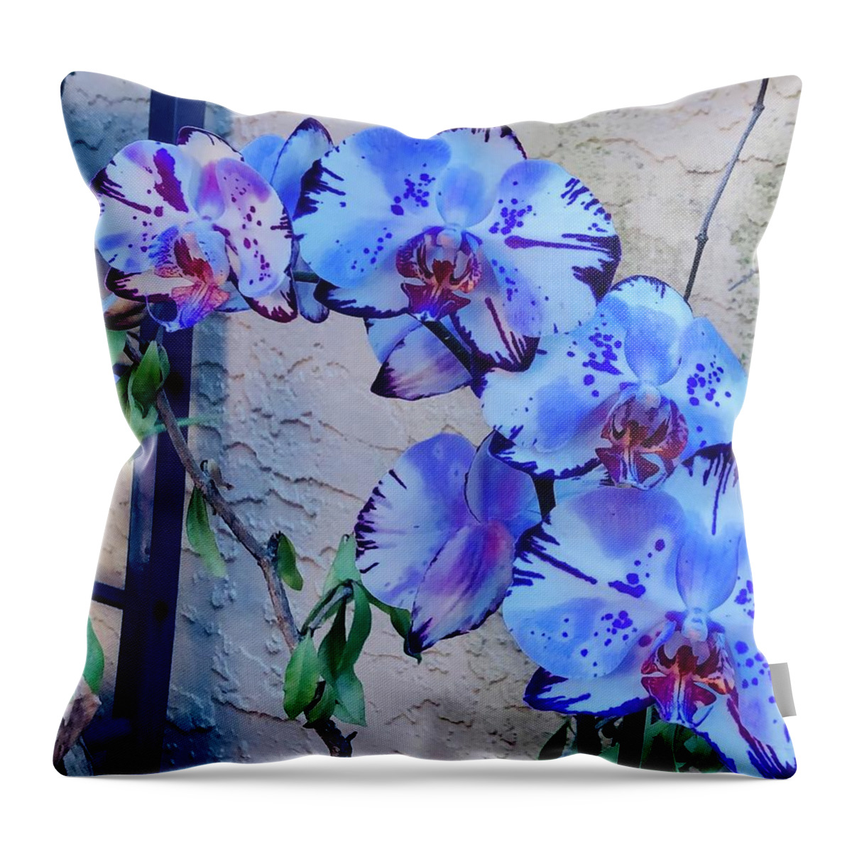 Orchids St Augustine John Anderson Throw Pillow featuring the photograph Orchids 1 by John Anderson