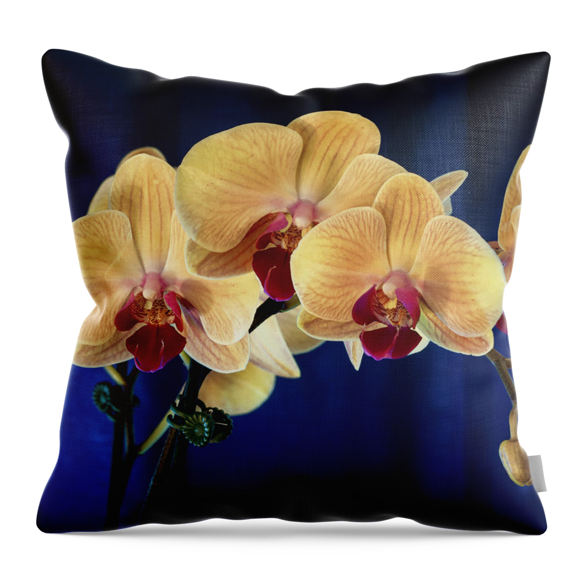 Bloom Throw Pillow featuring the photograph Orchids 3 by Dimitry Papkov