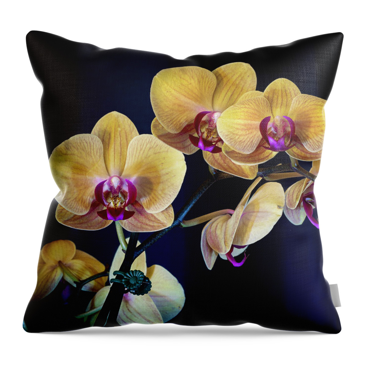 Bloom Throw Pillow featuring the photograph Orchids 4 by Dimitry Papkov