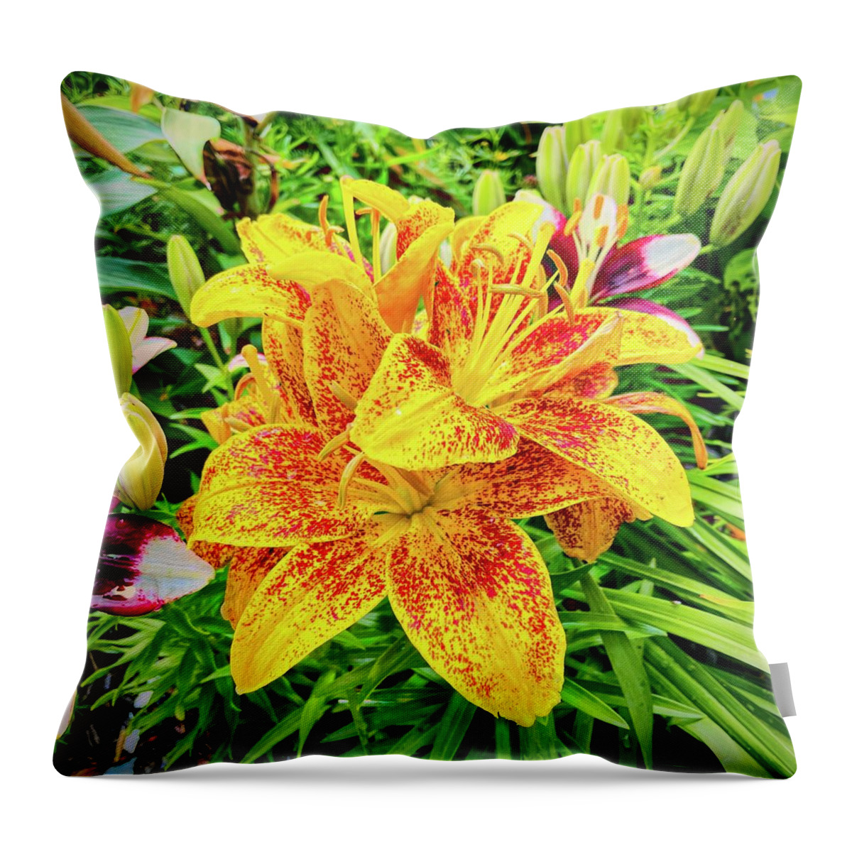 Oriental Lily Throw Pillow featuring the photograph Oriental Lily in Nancy's Garden by Bill Swartwout