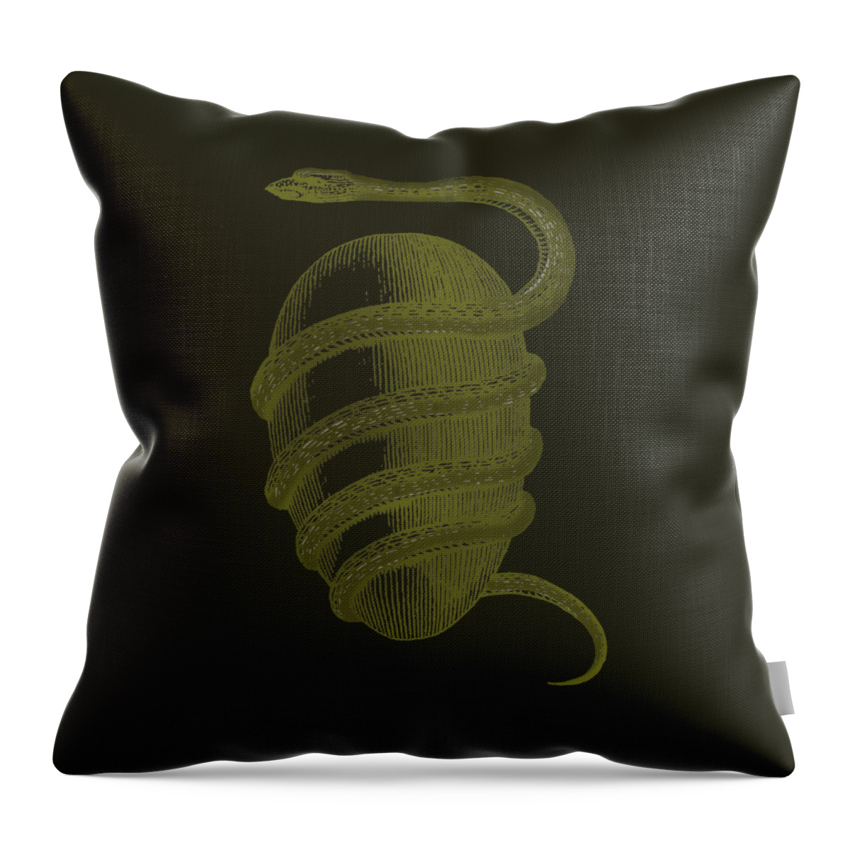 Orphic Egg Throw Pillow featuring the painting Orphic Egg 1774 by Unknown