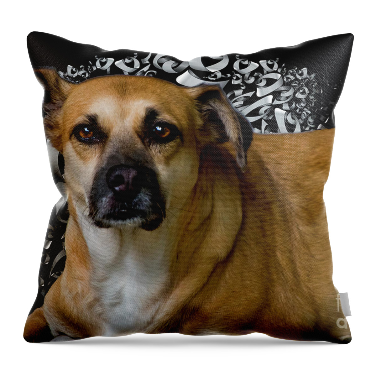 2157f Throw Pillow featuring the photograph Our Best Decision by Al Bourassa