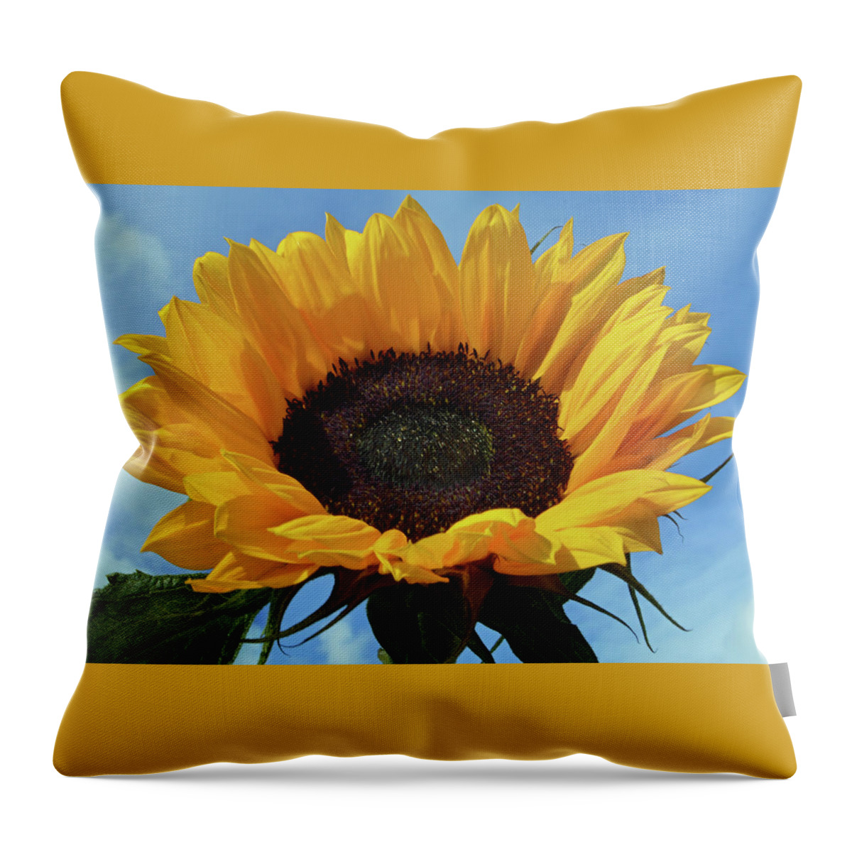 Sunflower Throw Pillow featuring the photograph Out In The Sunshine. by Terence Davis