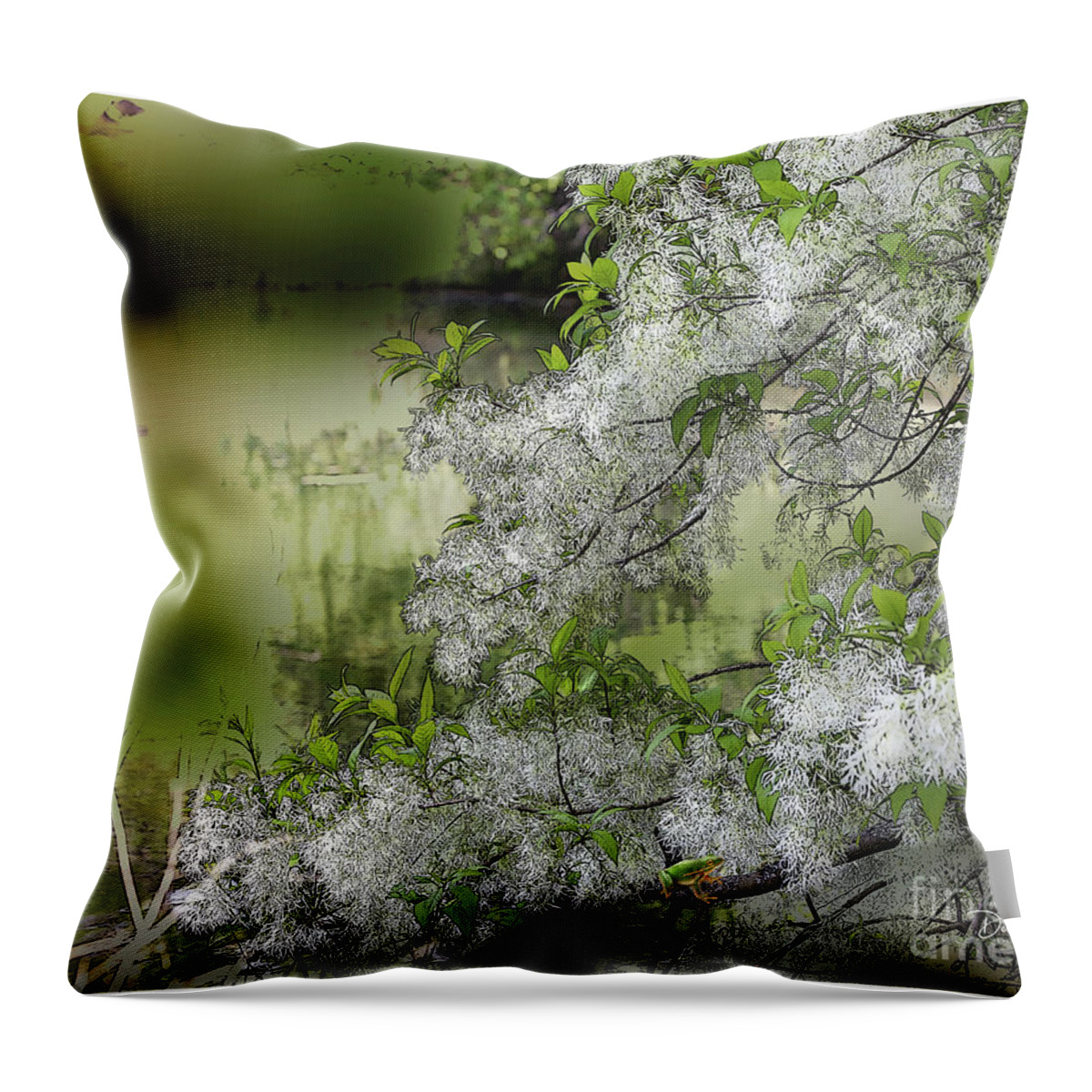Photo Throw Pillow featuring the digital art Out on a Limb by Deb Nakano