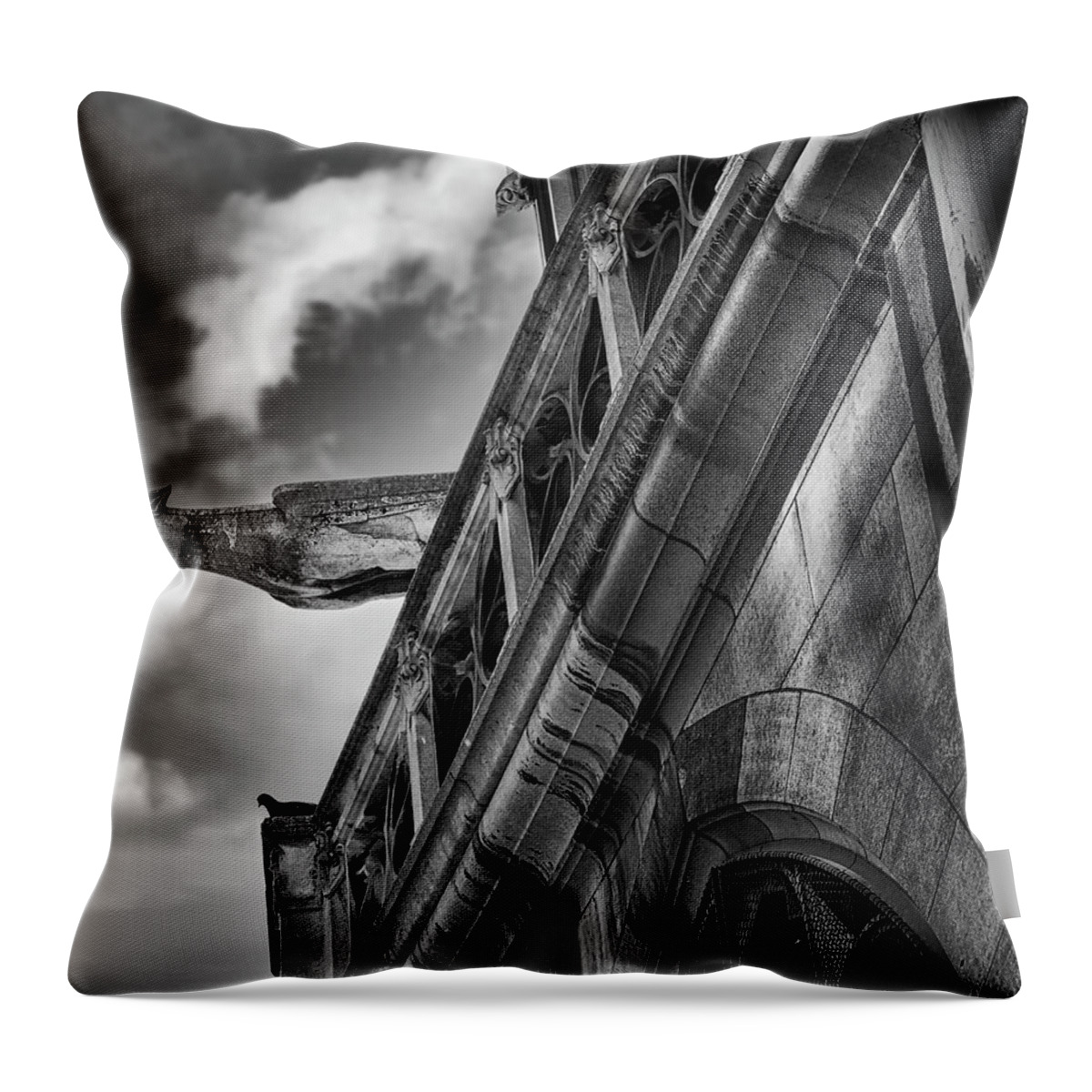 Gargoyle Throw Pillow featuring the photograph Out There by John Hansen