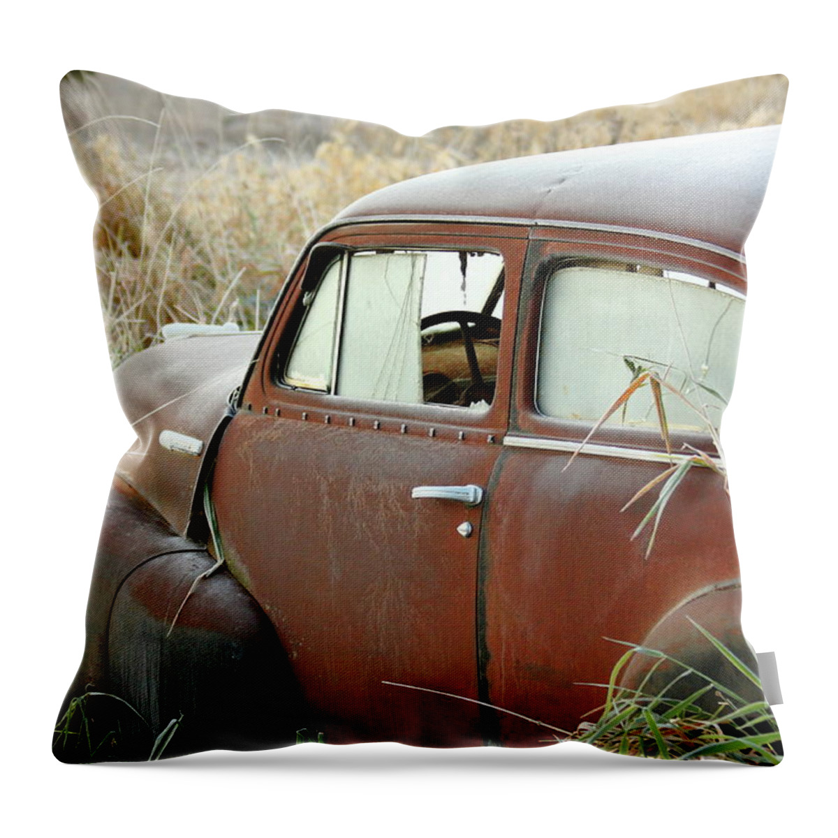Chevrolet Throw Pillow featuring the photograph Out To Pasture by Lens Art Photography By Larry Trager