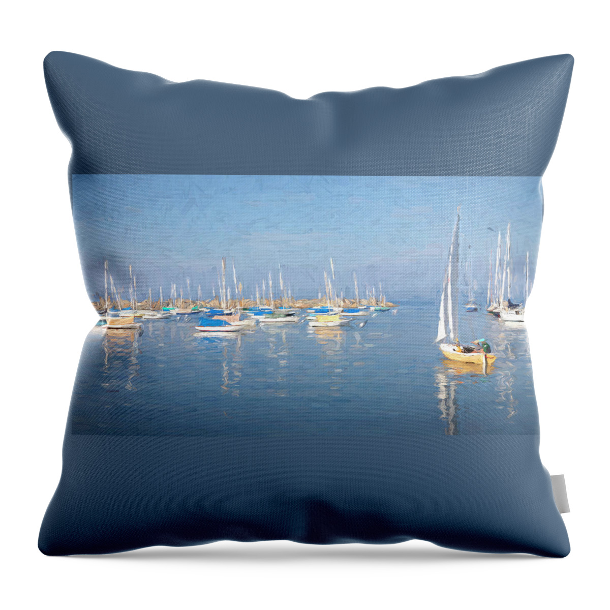 Cape Ann Throw Pillow featuring the photograph Out to Sea by Ray Silva