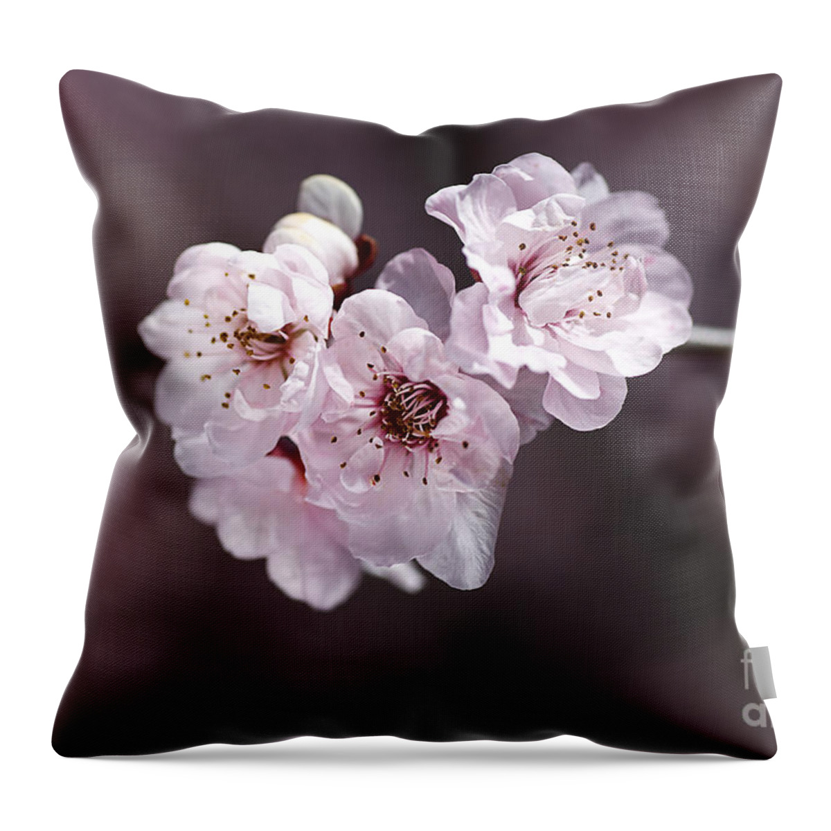 Spring Blossom Throw Pillow featuring the photograph Over A Blossom Cloud by Joy Watson