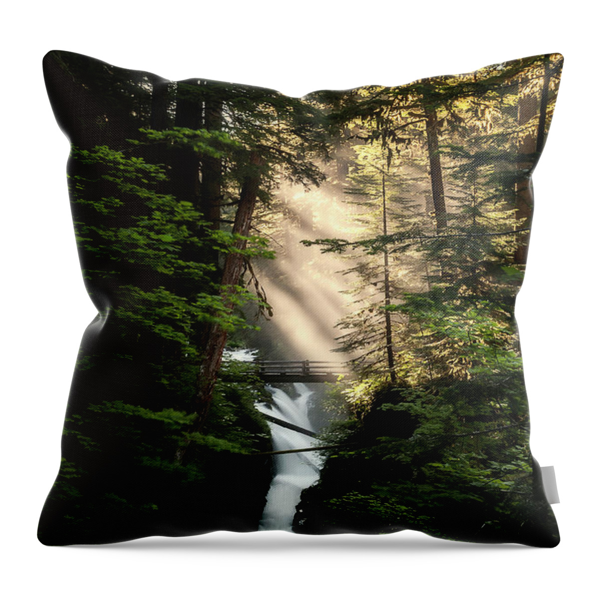 Sol Duc Throw Pillow featuring the photograph Over The River and Through The Woods by Ryan Manuel