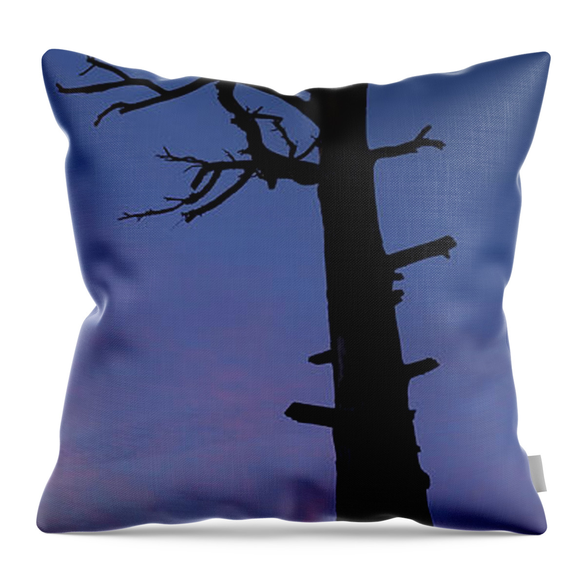 2018 Throw Pillow featuring the photograph Over The Top by Edgars Erglis