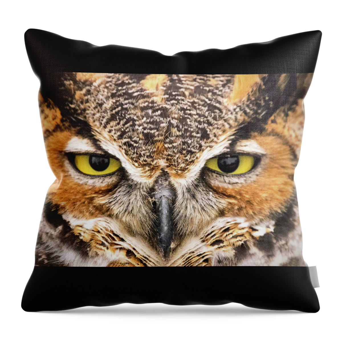 Owl Throw Pillow featuring the photograph Owl Eyes by Ira Marcus