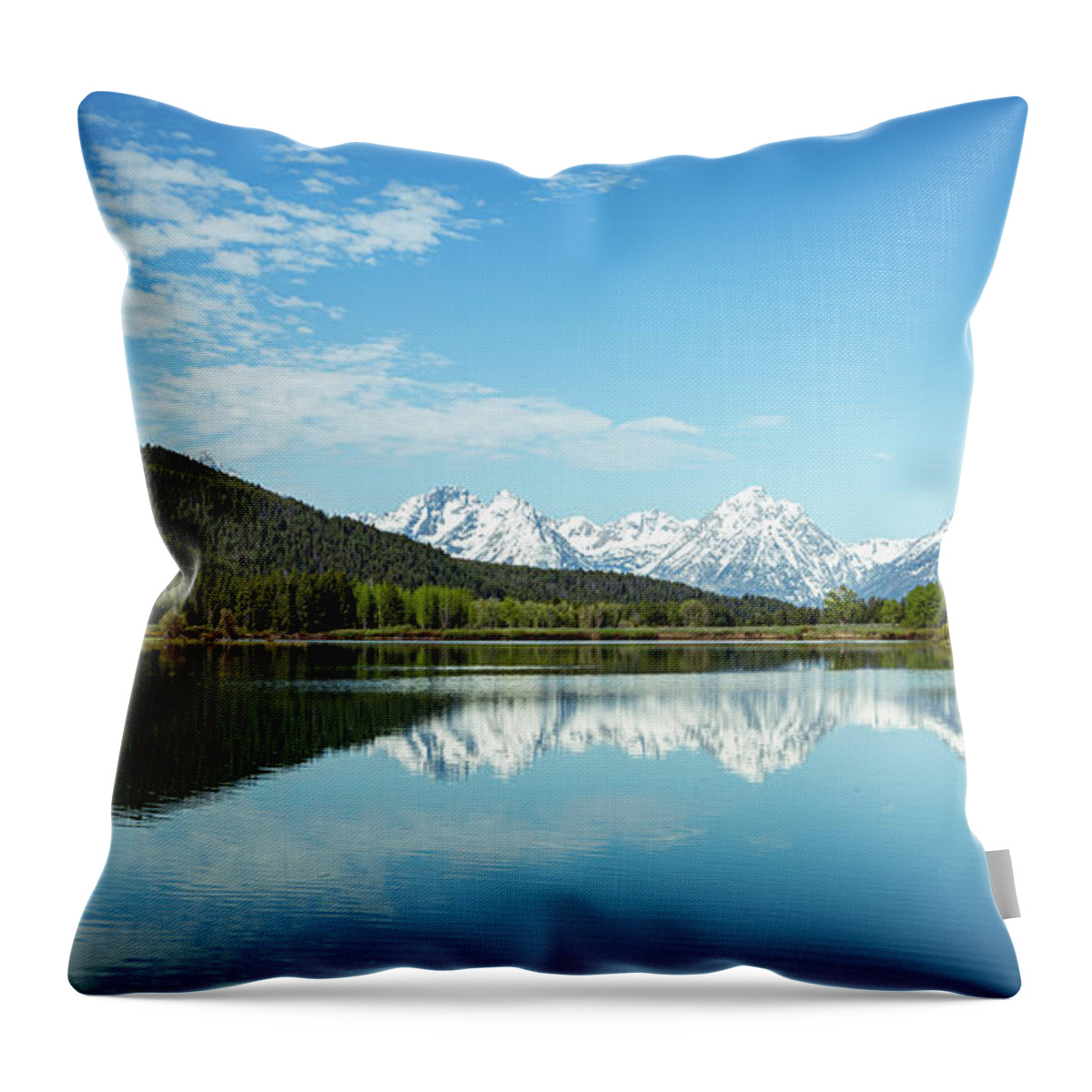 Landscape Throw Pillow featuring the photograph Oxbow Bend by David Lee