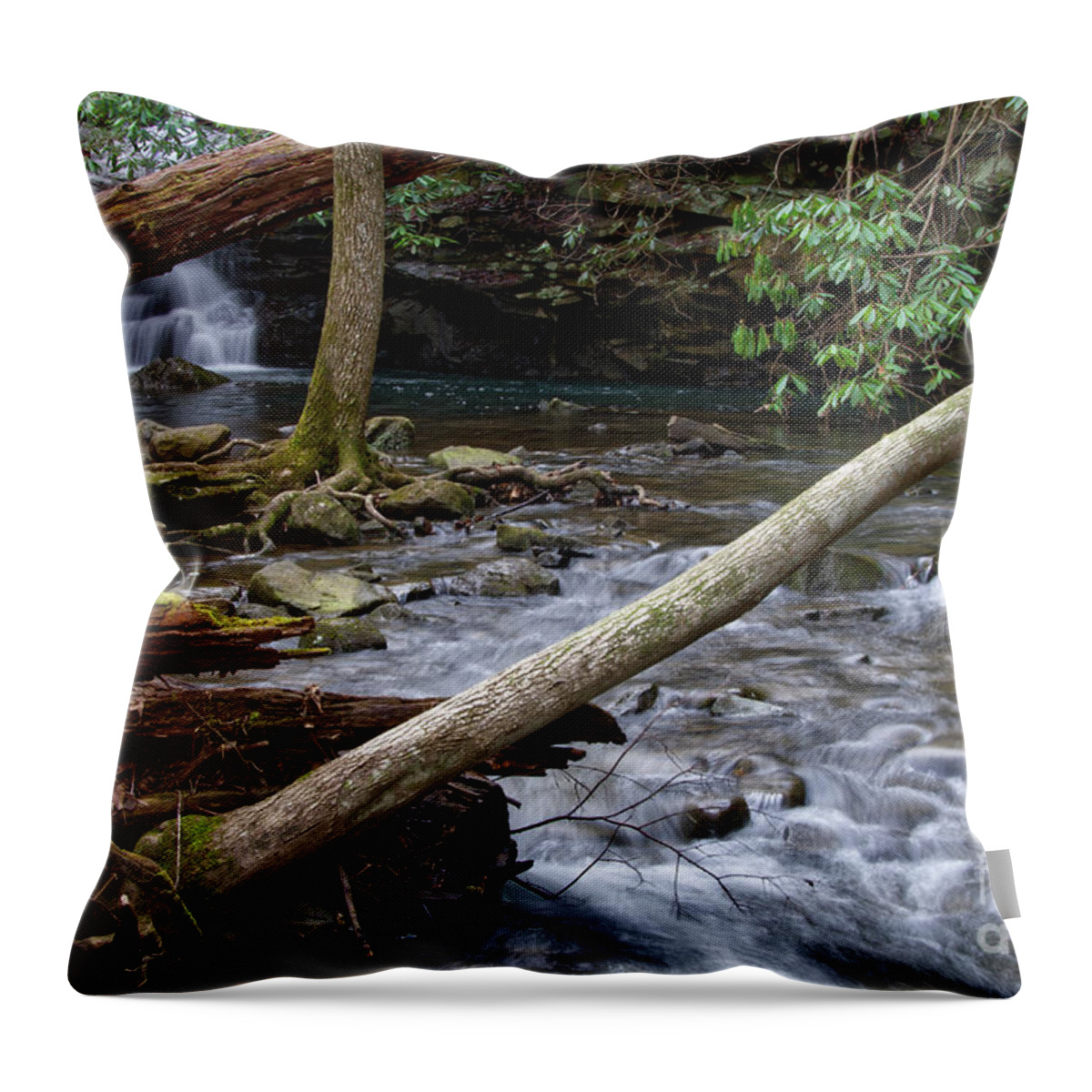 Ozone Falls Throw Pillow featuring the photograph Ozone Falls 35 by Phil Perkins