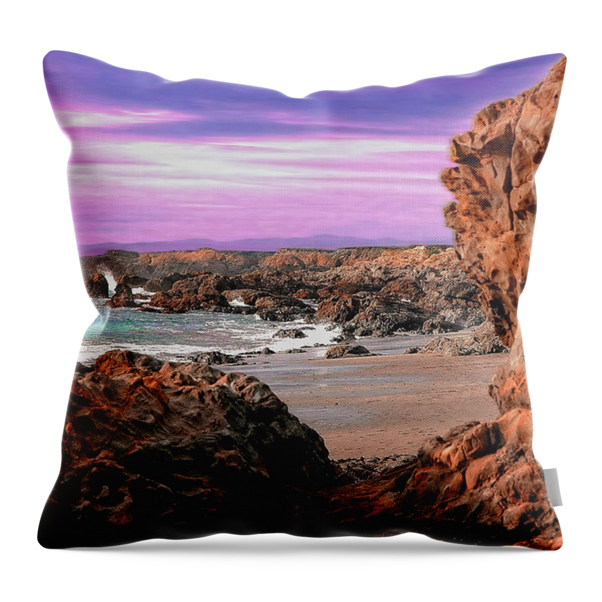 Photo Throw Pillow featuring the photograph Pacific Coast by Anthony M Davis