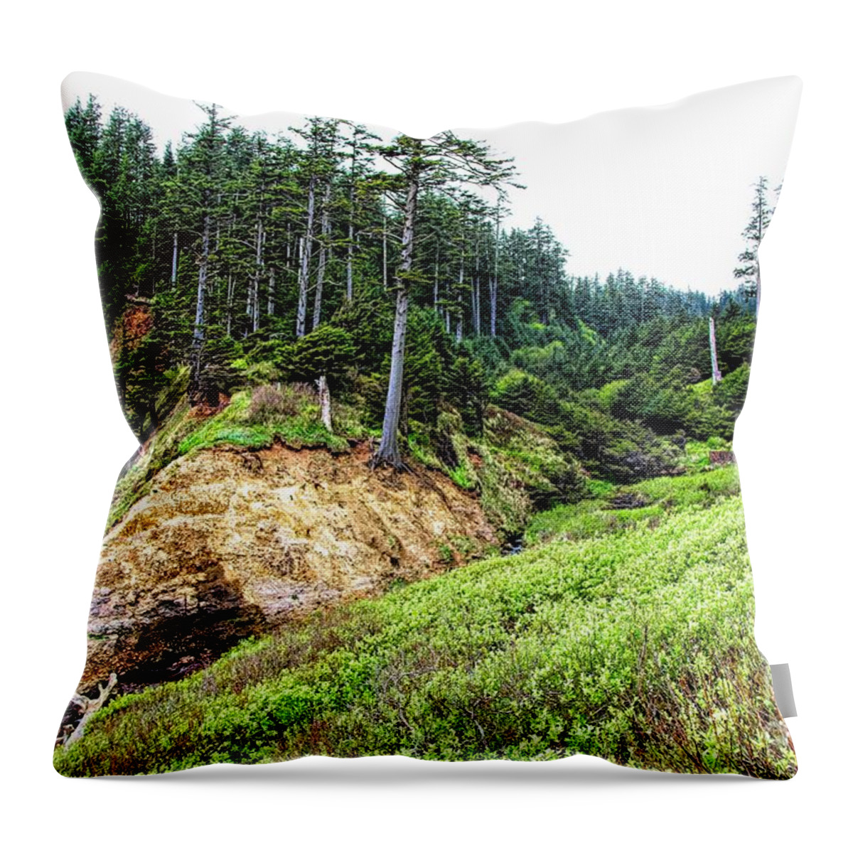 Jon Burch Throw Pillow featuring the photograph Pacific Overlook by Jon Burch Photography