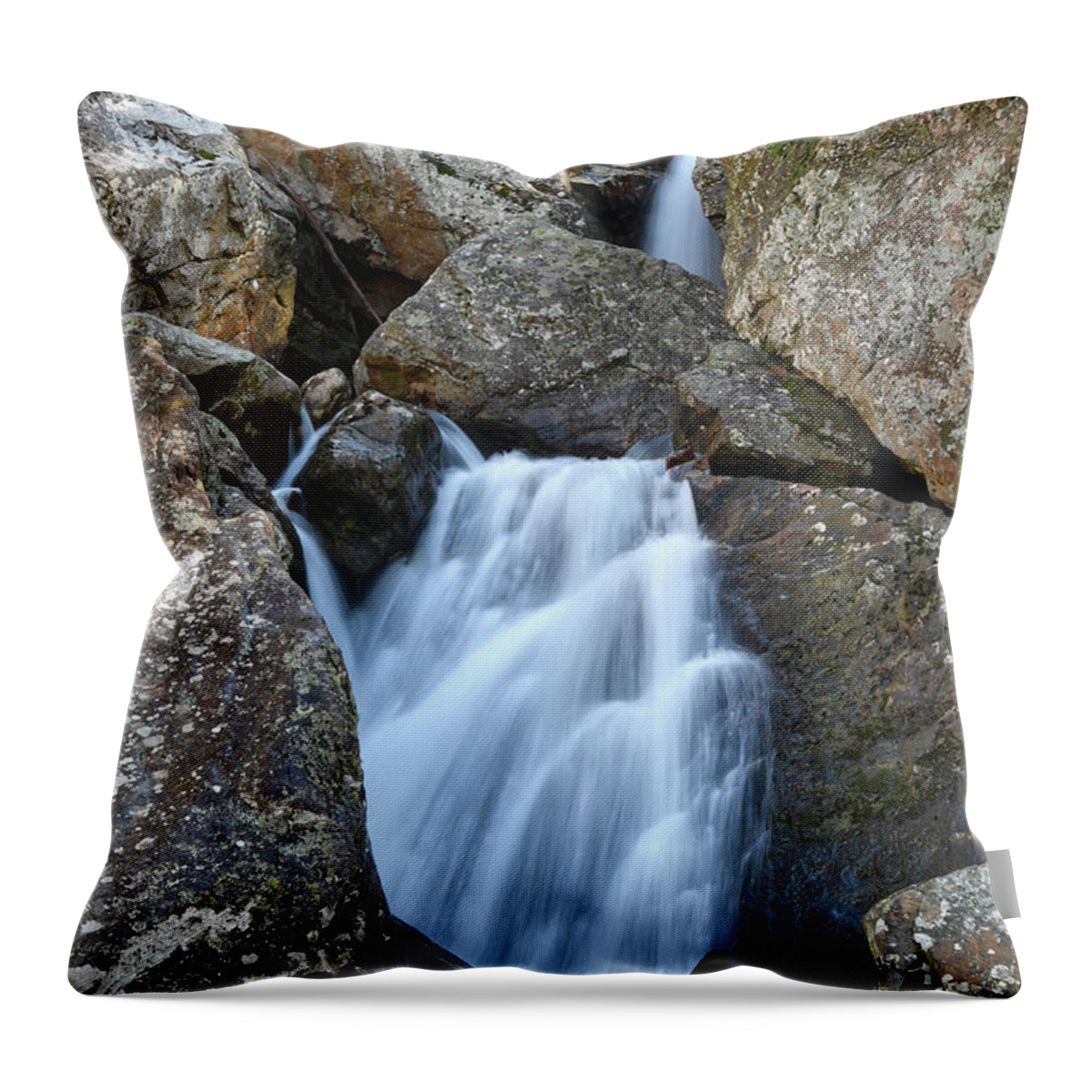 Paine Creek Throw Pillow featuring the photograph Paine Creek 27 by Phil Perkins
