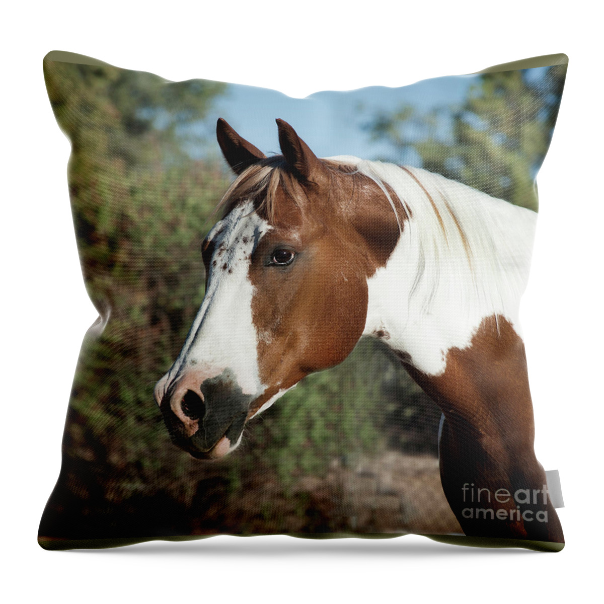 Paint Horse Throw Pillow featuring the photograph Paint Horse Cody by Jody Miller