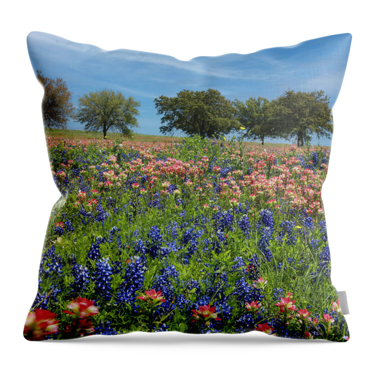 Flower Throw Pillow featuring the photograph Paintbrushes and Bluebonnets by Steve Templeton