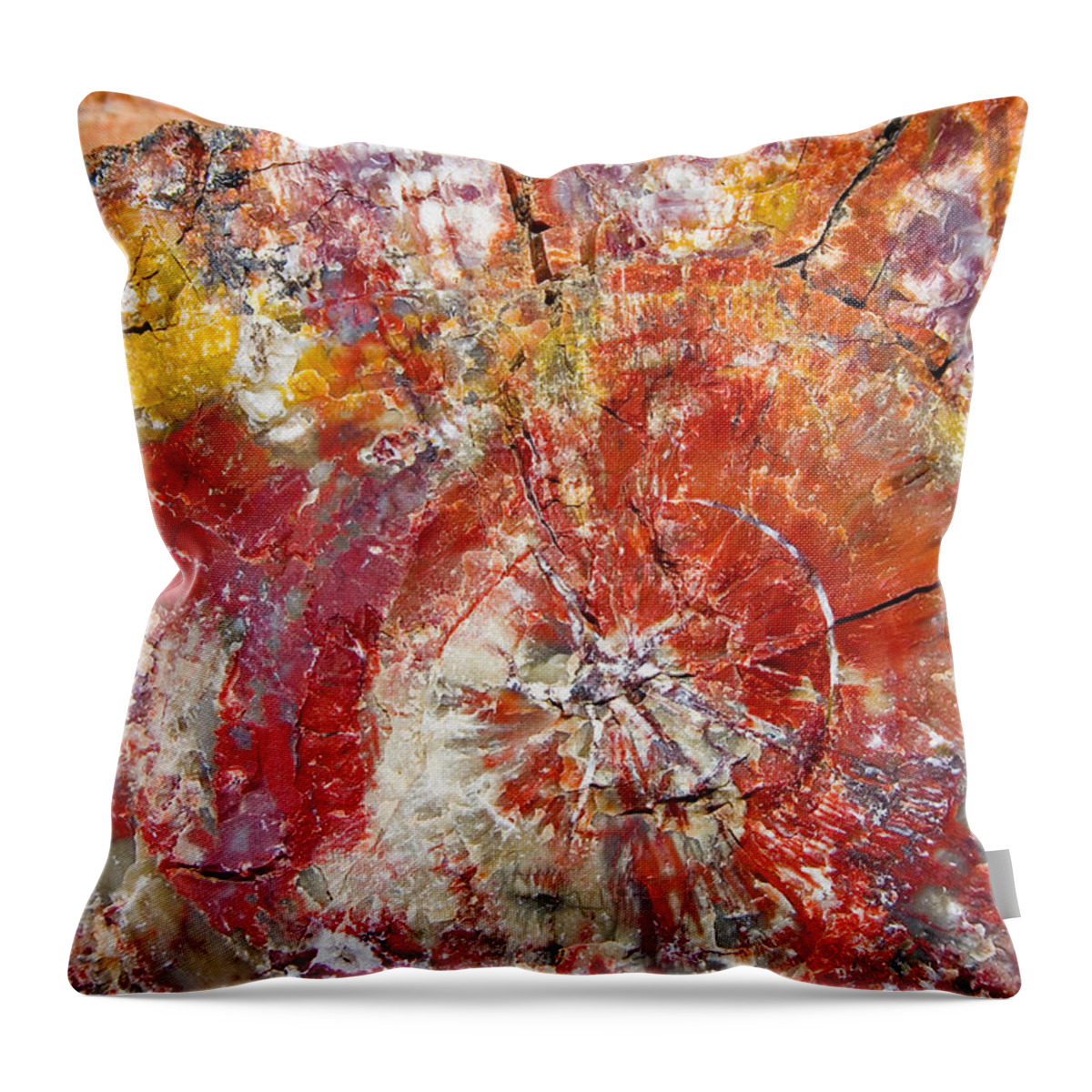 Petrified Wood Stone Texture Abstract Color Skip Hunt Throw Pillow featuring the photograph Painted Desert Wood 1 by Skip Hunt
