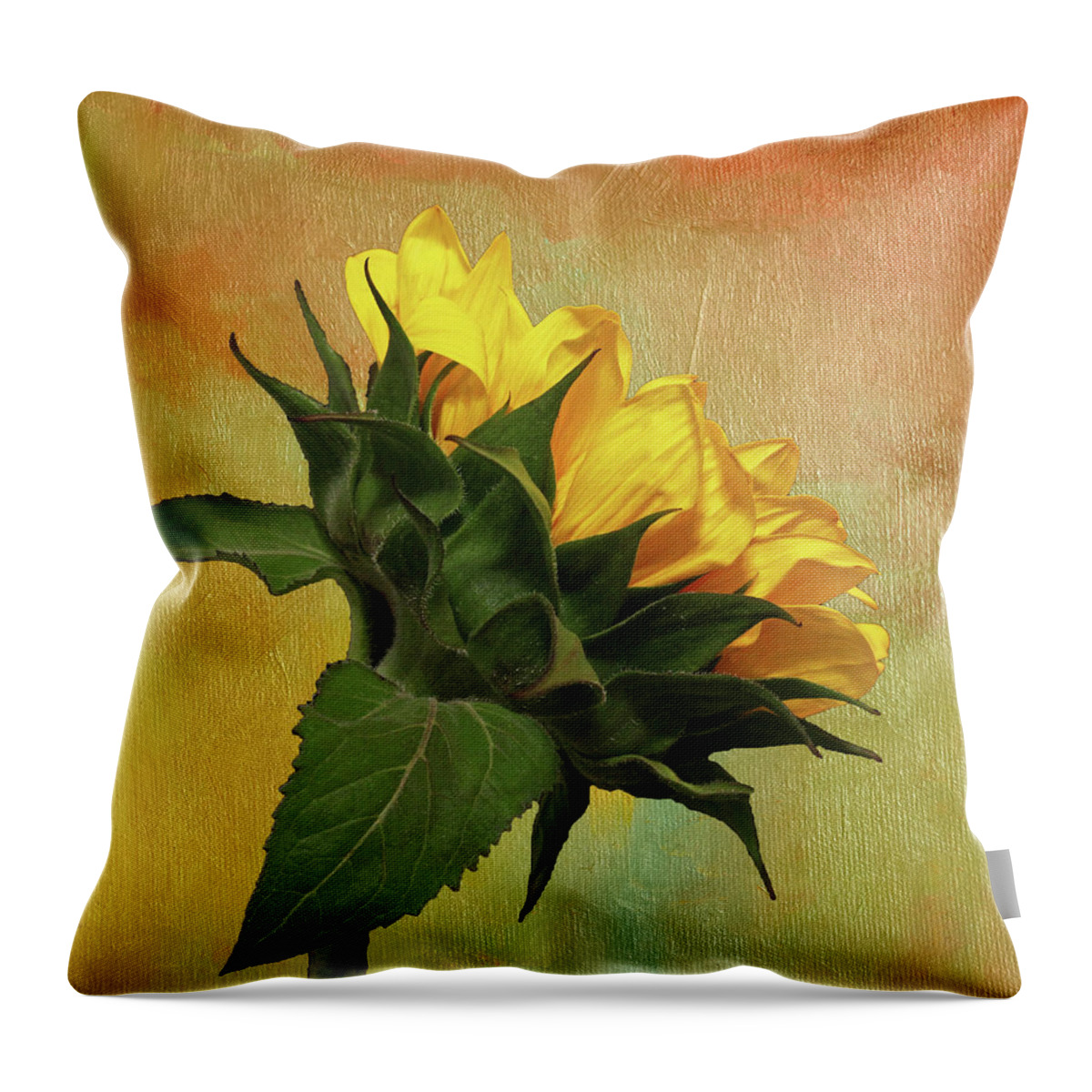 Sunflower Throw Pillow featuring the photograph Painted Golden Beauty by Judy Vincent