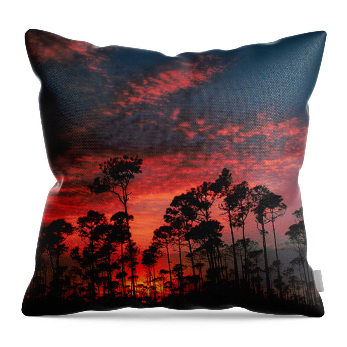 Sunset Throw Pillow featuring the photograph Painted Sky by Montez Kerr