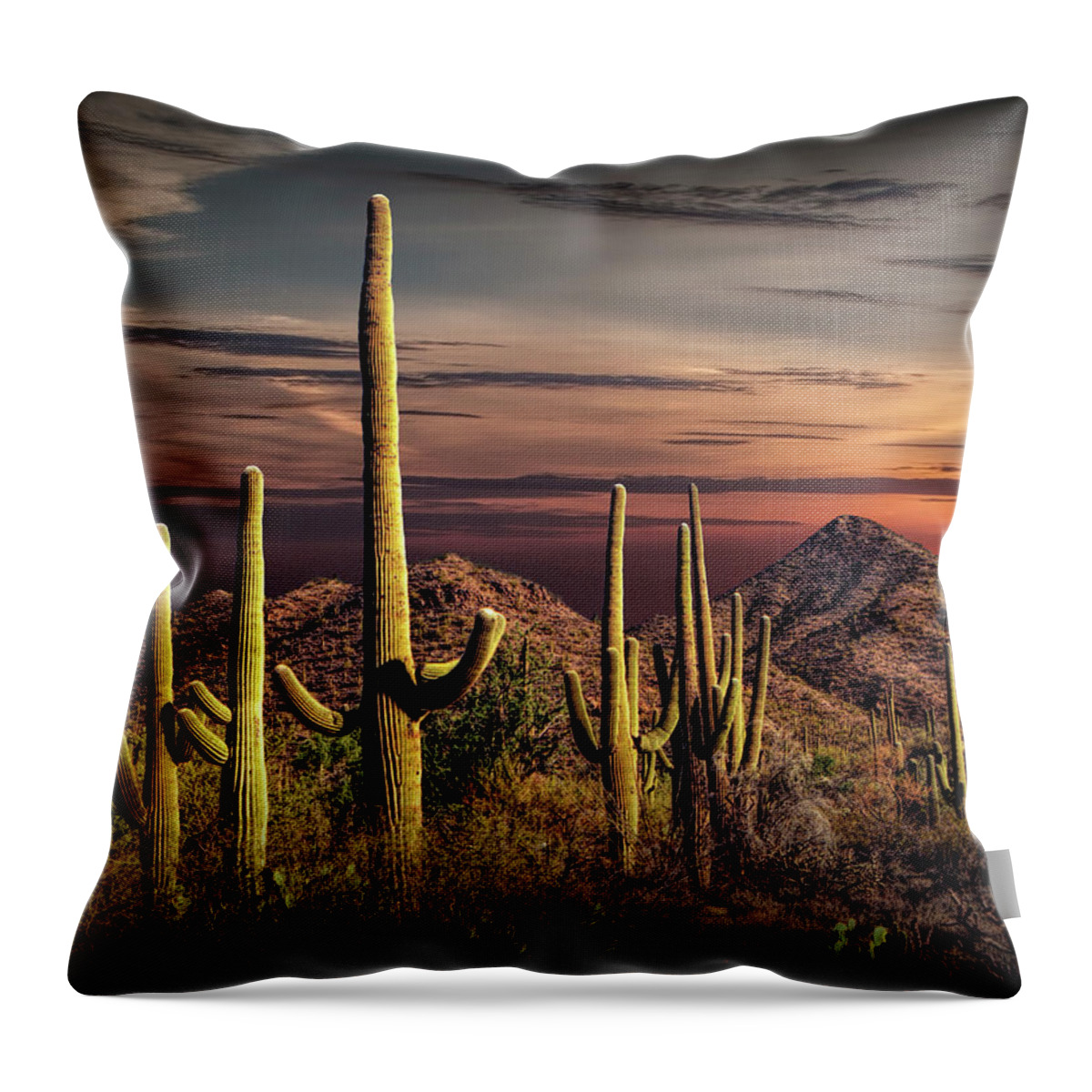 Desert Throw Pillow featuring the photograph Painted Sky over Saguaro Cactuses in Saguaro National Park by Randall Nyhof