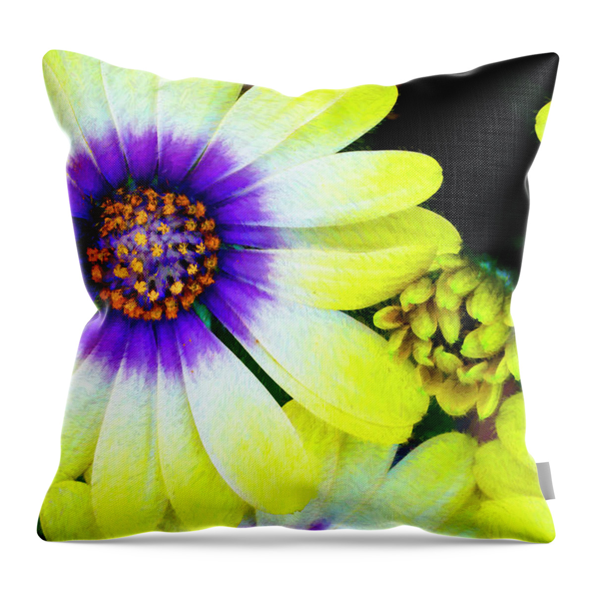 Daisy Throw Pillow featuring the photograph Painterly Daisy Gathering by Gary Slawsky