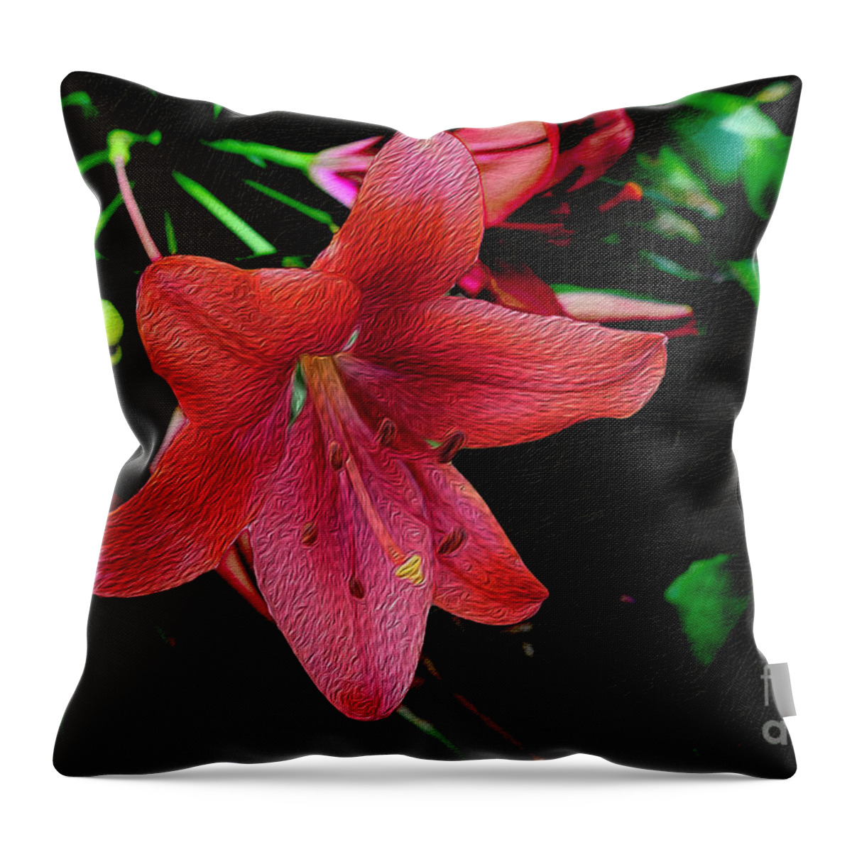 Flower Throw Pillow featuring the photograph Painterly Daylily by Bentley Davis
